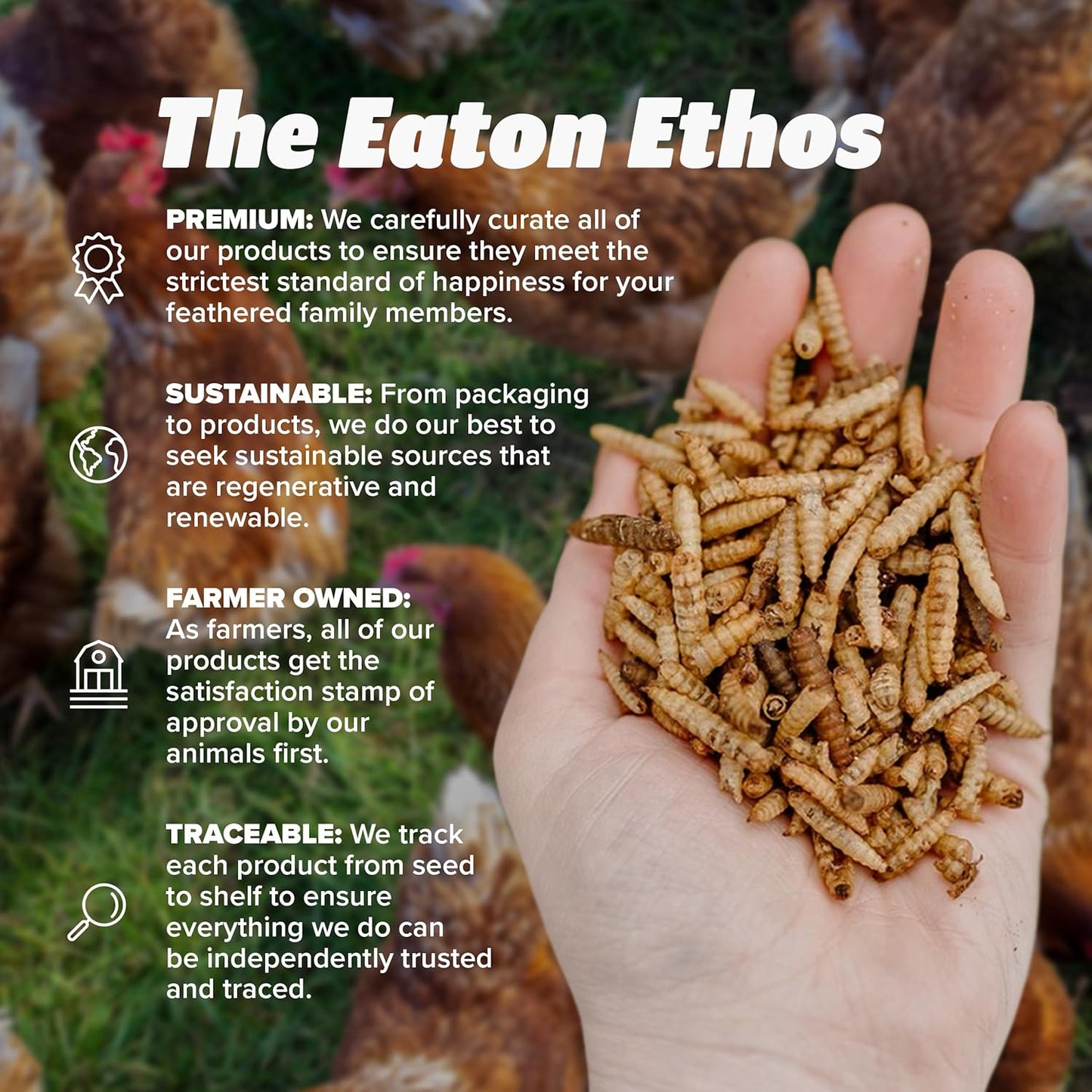 Eaton Pet and Pasture Premium Grubs, USA Grown Dried Black Soldier Fly Larvae, High Calcium Treat for Chickens, Ducks, Wild Birds (5 LB)