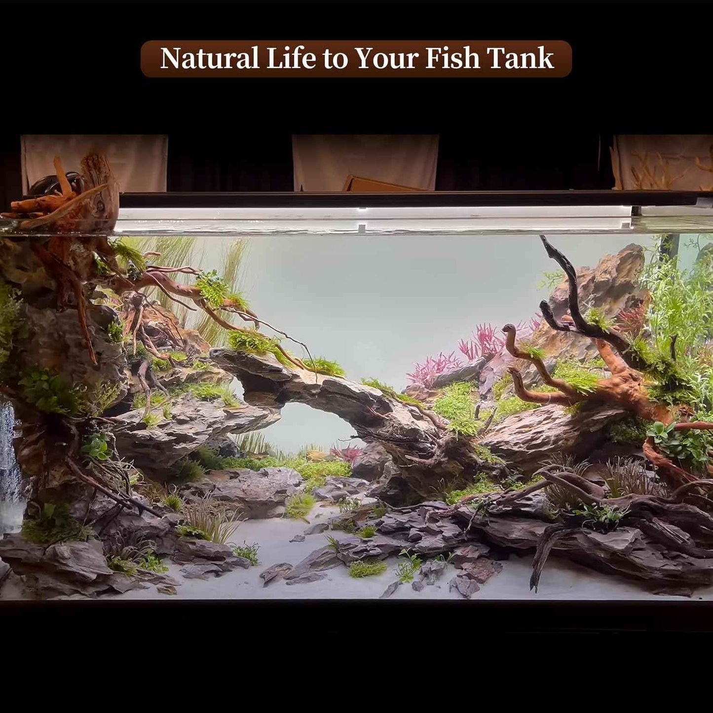 majoywoo Natural Large Driftwood for Aquarium Decor Reptile Decor, Assorted Spider Wood Branch 13-17" Long, Fish Tank Decoration