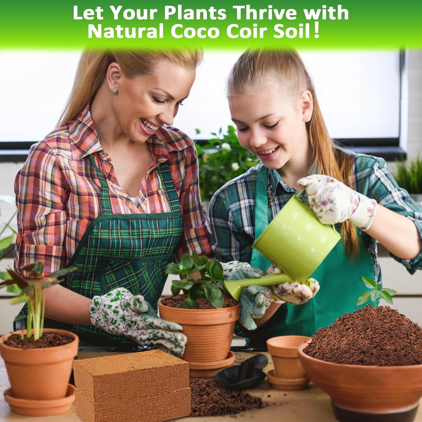Legigo 12 Pack Premium Coco Coir Brick for Plants- 100% Organic Compressed Coconut Coir Bricks Starting Mix, Coco Coir Fiber Coconut Husk for Planting, Gardening, Potting Soil Substrate, Herbs - Pet Explorer