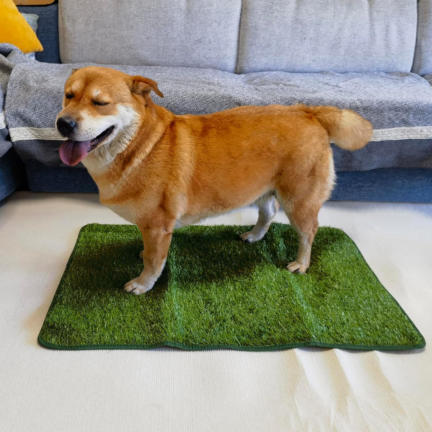 Artificial Grass Turf Pad for Dog Potty Training 22 x34 in (Replacement Grass) - Pet Explorer