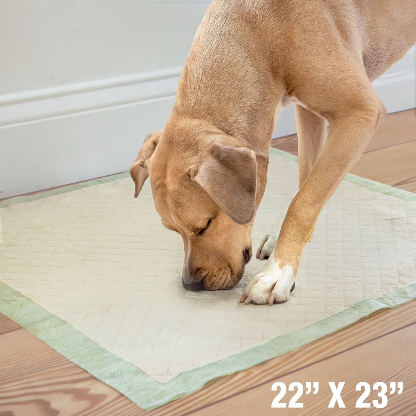 Four Paws Wee-Wee Superior Performance Bamboo Pee Pads for Dogs, Earth Friendly Dog & Puppy Potty Training Pads, Crate Liners, Housebreaking Supplies, 22" x 23" (32 Count) - Pet Explorer