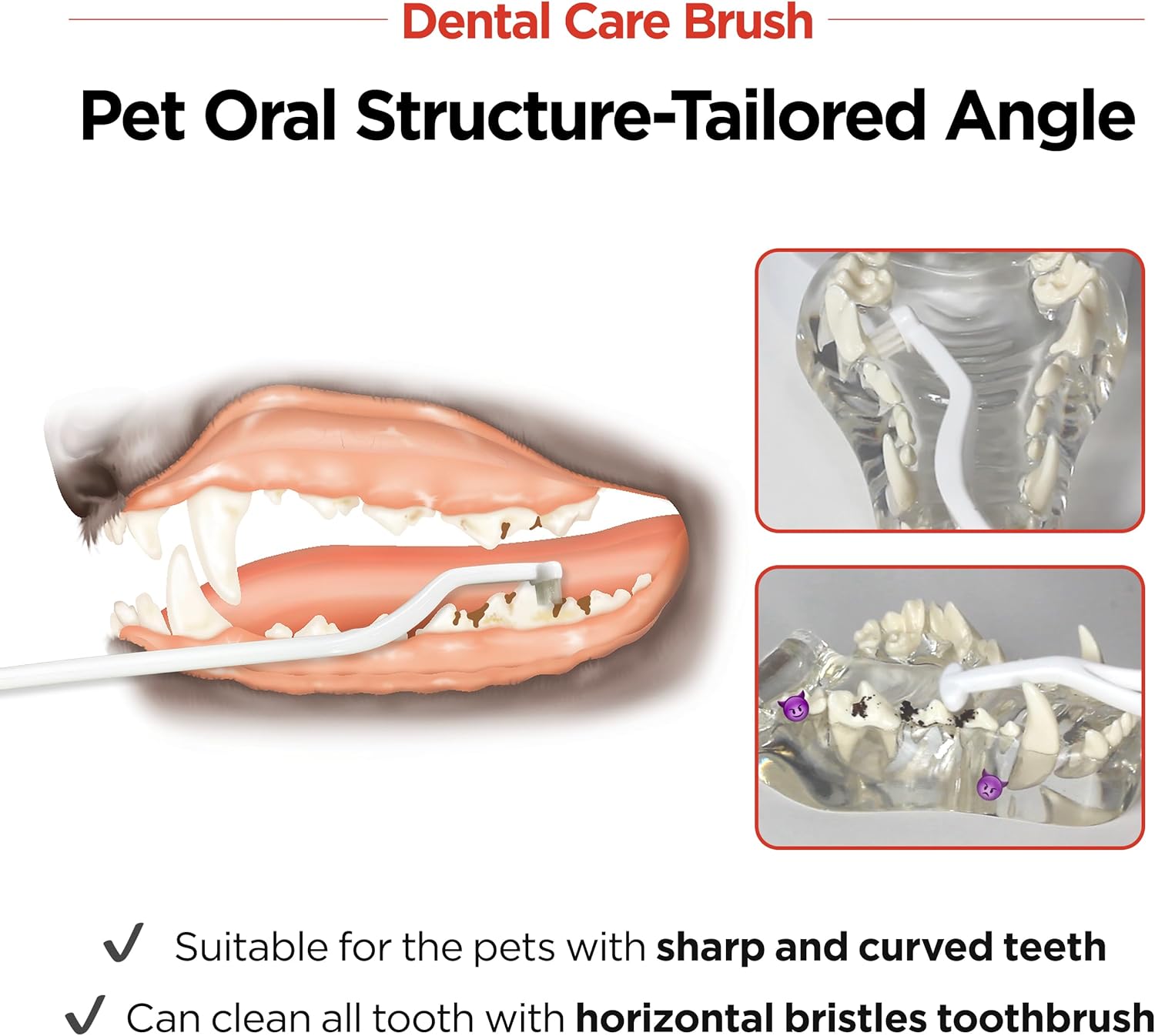 JAYU PET Dental Care Brush (Soft Bristles) 3ea - Dog Toothbrush, Cat Toothbrush, Dental Care for Kitten and Small Dogs, Removing Old Plaque and Tartar, Cat Teeth Brushing & Easy Cleaning - Pet Explorer