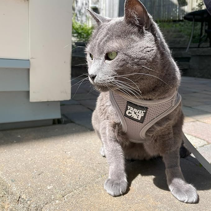 Travel Cat Harness and Leash Set - Adjustable Fit Mesh Cat Harness and Reflective Strap - Comfort Walking Vest for Kitten for Outdoor Walking, Hiking (Medium, Grey)