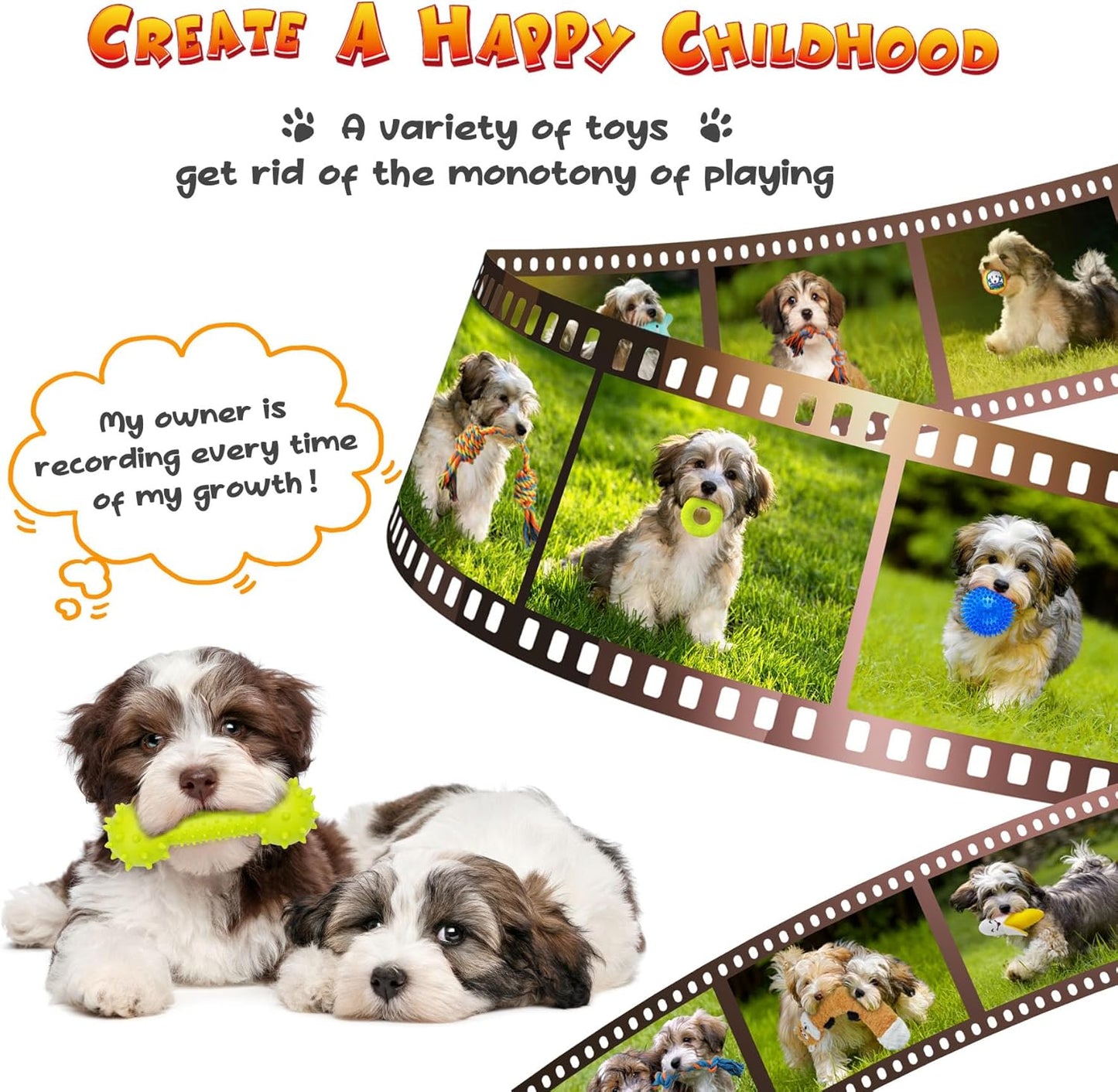 KIPRITII Puppy Toys for Dog Teething -25 Pack Various Puppy Chew Toys with Rope Toys, Dog Treat Balls & Squeaky Toy for Puppy and Small Dogs - Pet Explorer