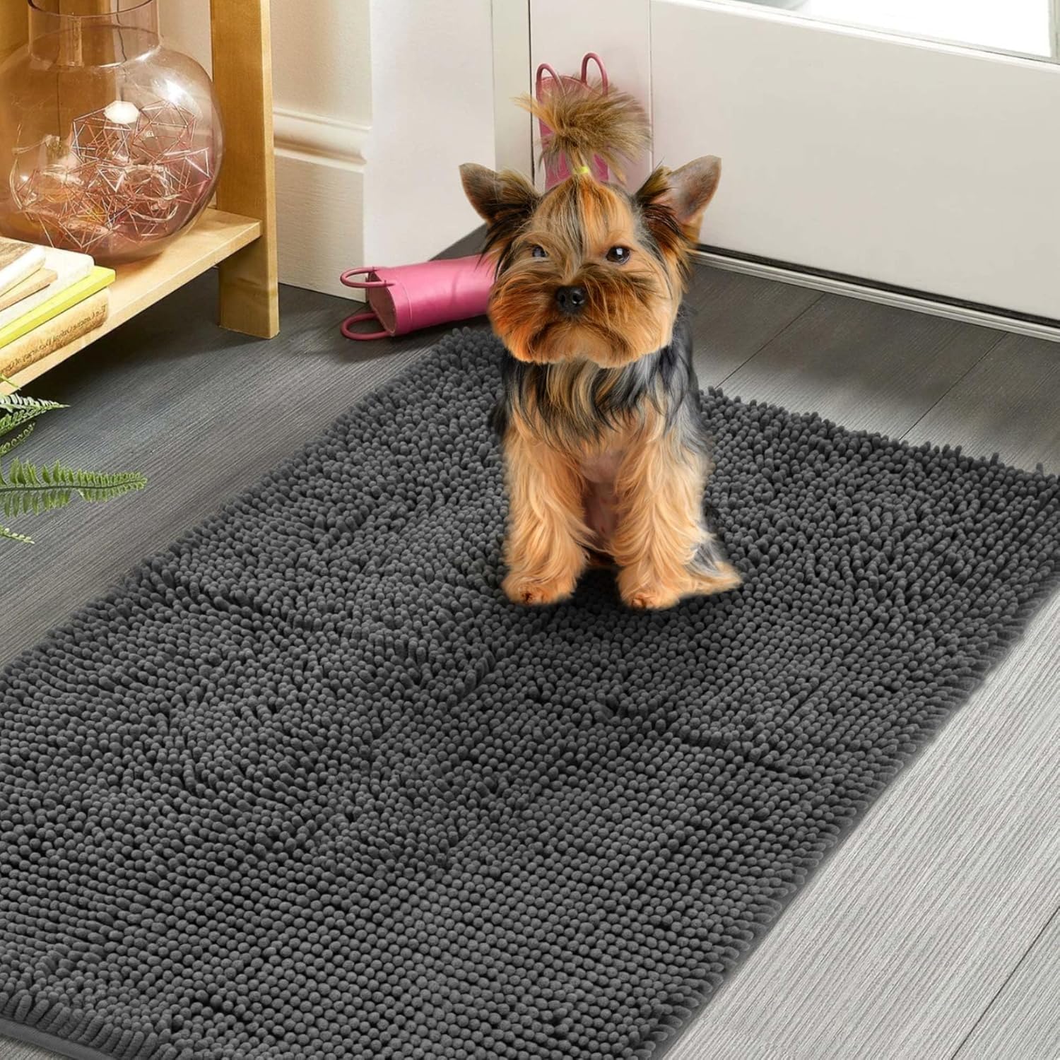 Dog Door Mat Indoor Entrance, 60" x 24" Absorbent & Quick-Drying Mud Rugs, Non-Slip Door Rugs for Entryway Indoor Washable, Soft Chenille Dog Mat for Muddy Paws - Pet Explorer