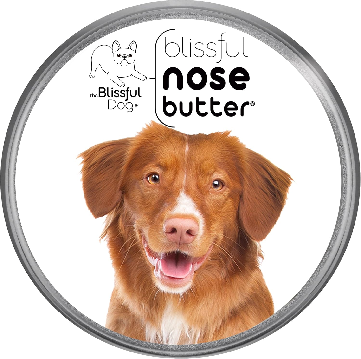 The Blissful Dog Nova Scotia Duck Tolling Retriever Unscented Nose Butter - Dog Nose Butter, 1 Ounce - Pet Explorer