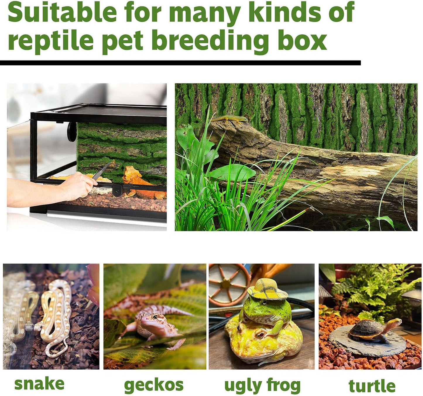 15.75x11.81in Reptile Terrarium Cork Background,Bearded Dragon Tank Bark Backdrop Wall Decor with Artificial Moss for Gecko Lizard Tortoise Frog Chameleon(4Pcs) - Pet Explorer