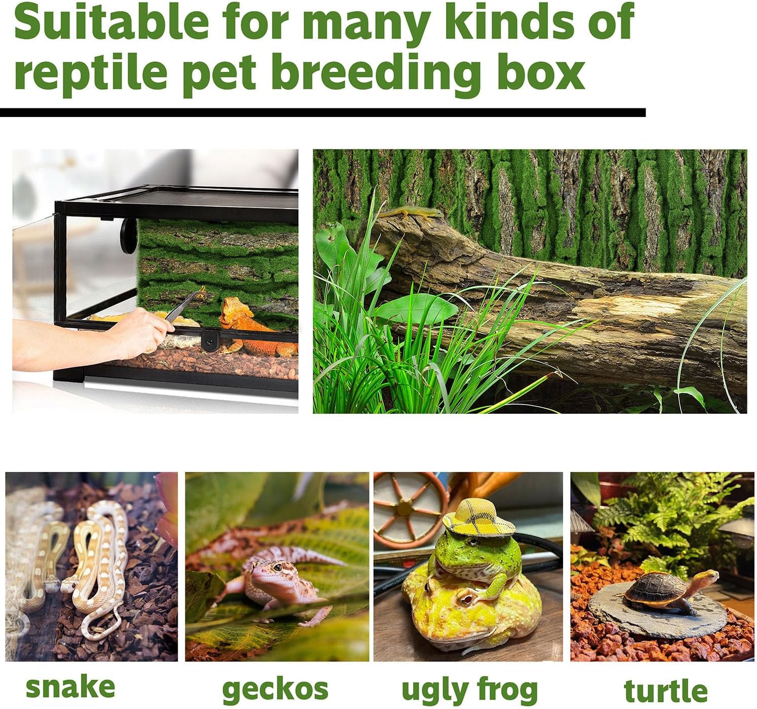 15.75x11.81in Reptile Terrarium Cork Background,Bearded Dragon Tank Bark Backdrop Wall Decor with Artificial Moss for Gecko Lizard Tortoise Frog Chameleon(4Pcs) - Pet Explorer