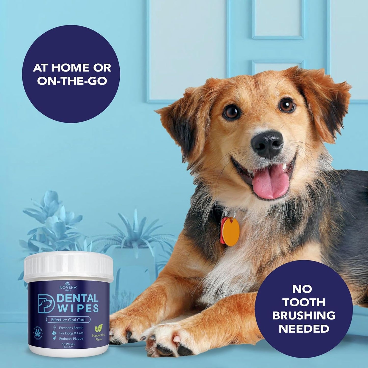 NOVEHA Pets Dental Finger Wipes for Dogs & Cats | Freshens Breath, Reduces Plaque | Healthier Gums | Clean Teeth No Toothbrush | Vet Recommended Effective Natural Oral Care (50 pcs, Mint) - Pet Explorer