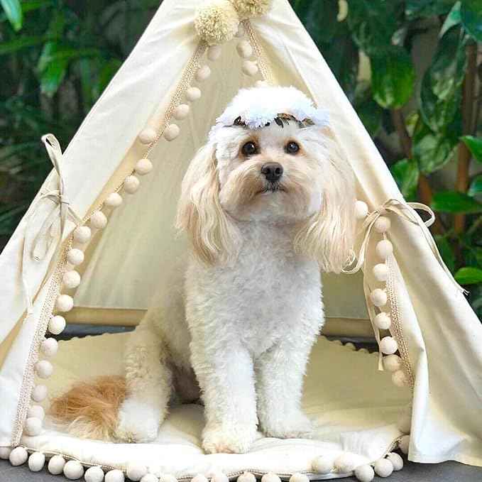 MINICAMP Pet Teepee Bed for Dogs and Cats – Cozy Indoor Dog Tent with Natural Cotton– Luxury Pet House & Hideaway Bed for Small to Medium Dogs, Cats and Other Animals - Made in EU (Medium)