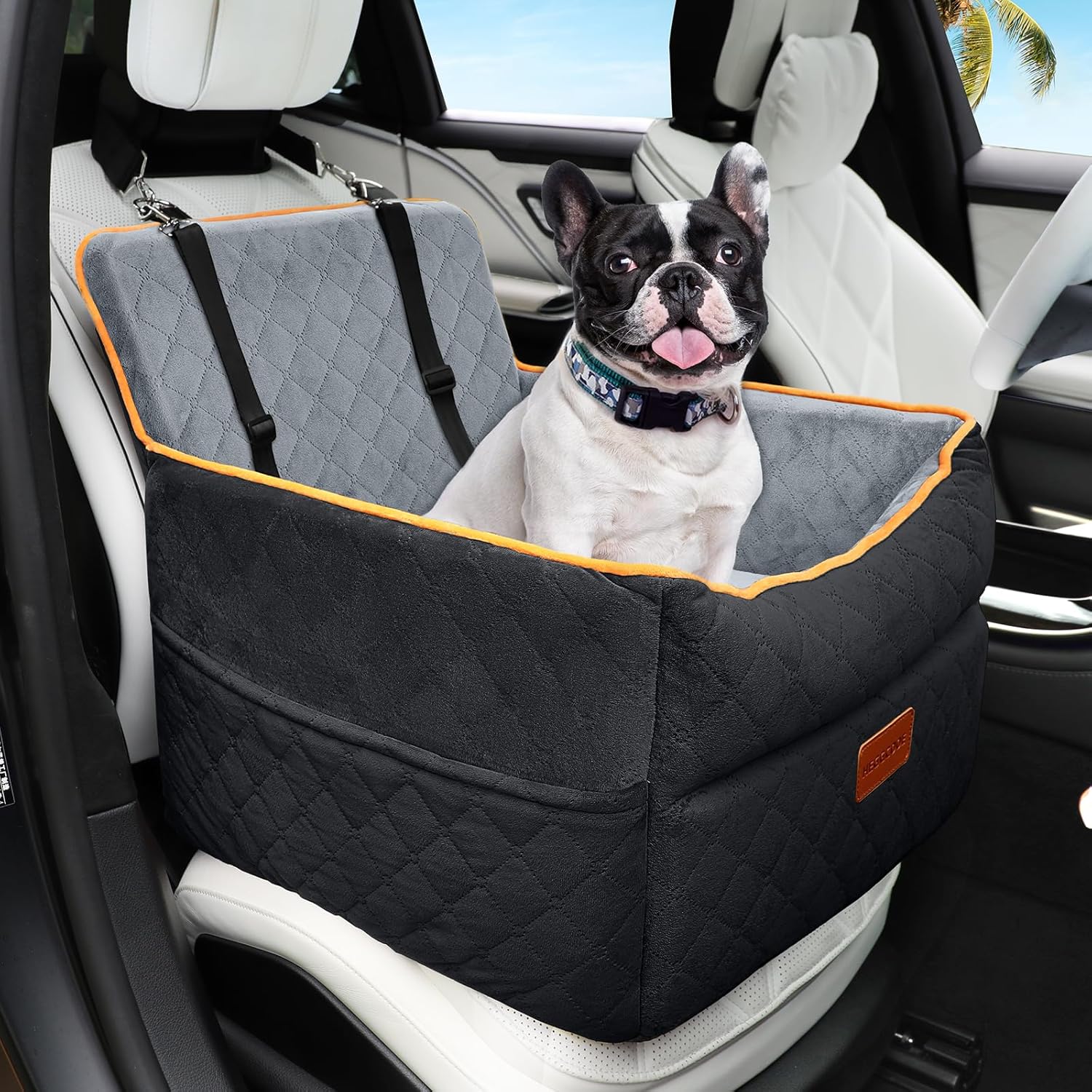 Small Dog Car Seat, Memory Foam Dog Booster Seats with Thick Cushion for Medium Dogs Under 35lbs, Detachable Washable Pet Car Seat Bed with Storage Pockets,2 Safety Belts - Pet Explorer