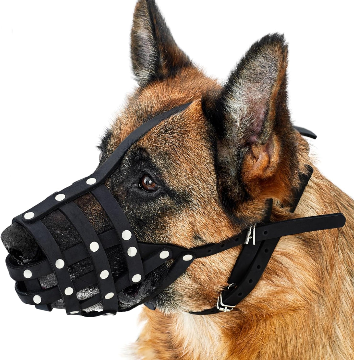 CollarDirect Dog Muzzle German Shepherd Dalmatian Doberman Setter Leather Basket Medium Large Breeds (Black, Large) - Pet Explorer