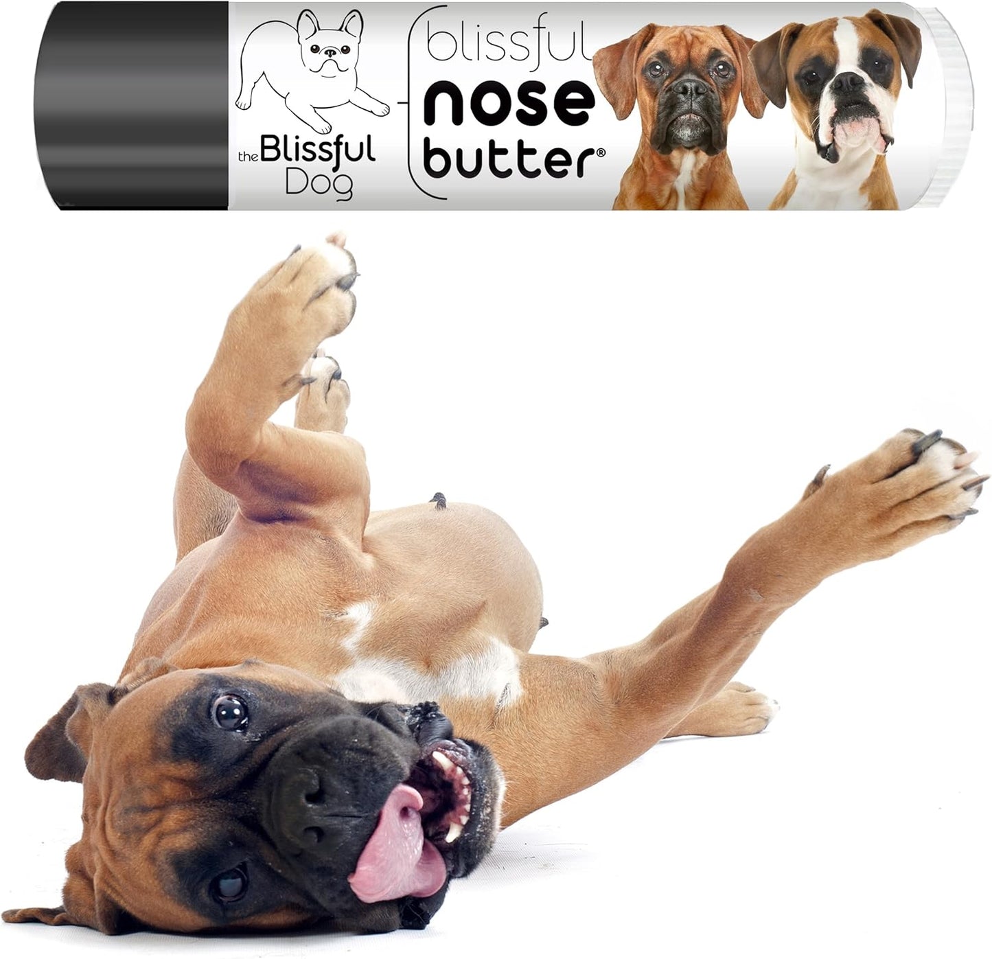 The Blissful Dog Fawn Boxer Nose Butter for Dry, Cracked Skin, Lick-Safe Dog Nose Balm with Moisturizing Shea Butter, Almond, Olive, and Essential Oils, Pet Supplies, Uncented, 0.15 oz. - Pet Explorer