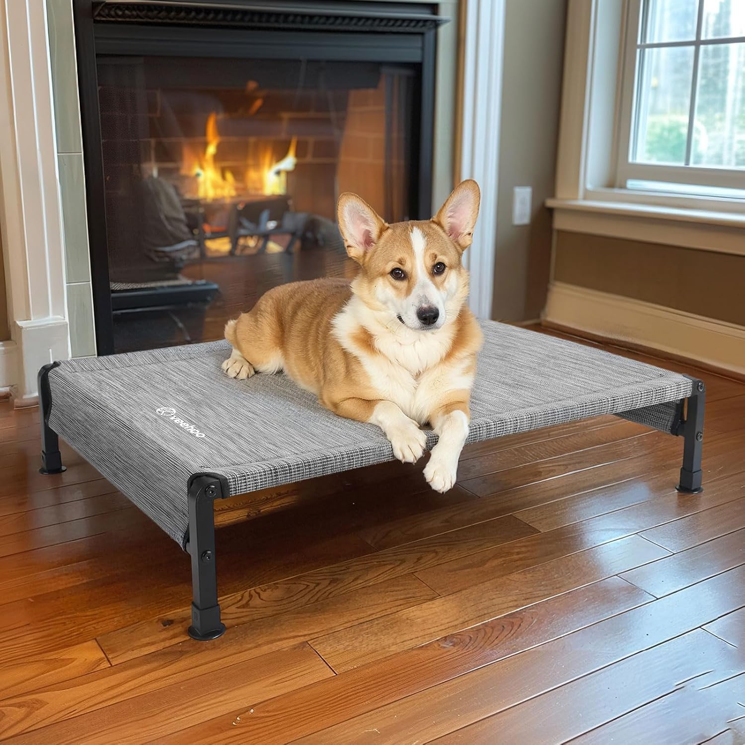 Veehoo Cooling Outdoor Dog Bed, Heavy Duty Elevated Pet Bed with Washable & Breathable Teslin Mesh, Non-Slip Silicon Feet, Dog Cot Bed with Support Hem, 35" x 22", Black Silver, CWC2433 - Pet Explorer