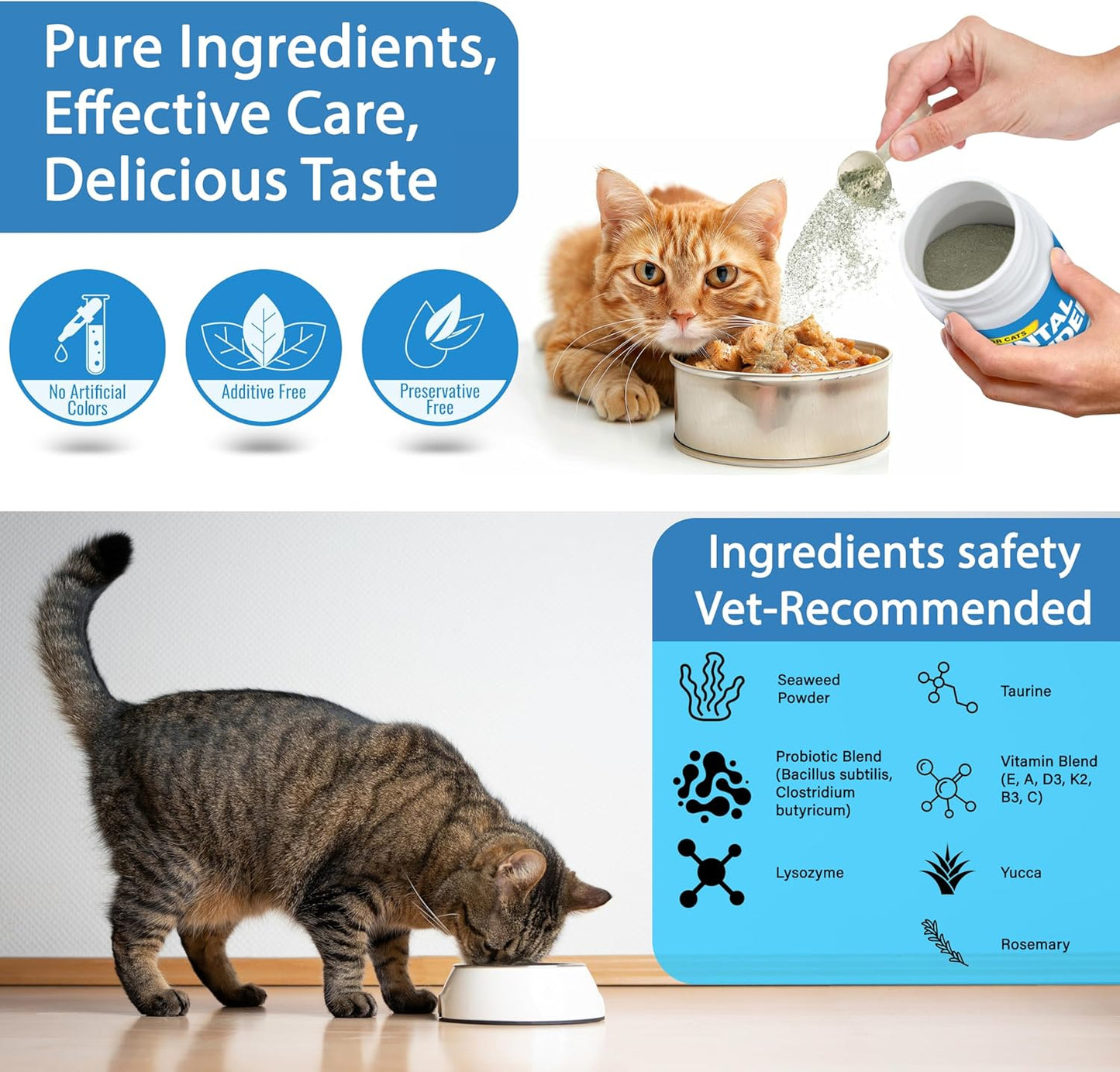 Cat Dental Care Powder Bad Breath Treatment for Cats Teeth, Mouth, Gums & Gut, Plaque Off,Tartar Control, Help Feline Gingivitis and Stomatitis, with Natural Extracts & Probiotics - Pet Explorer