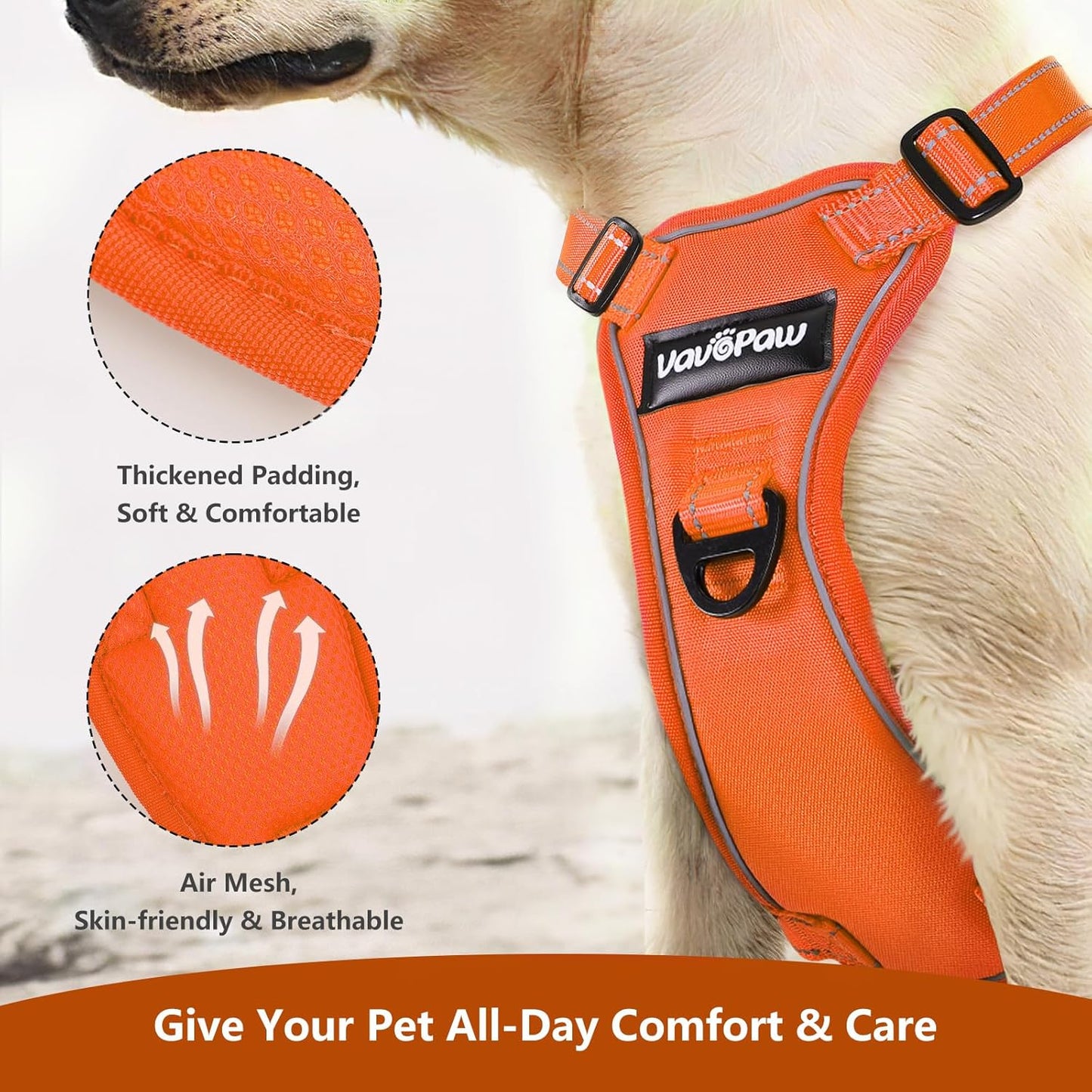 Dog Seat Belt Harness for Car, Dog Car Harness Adjustable Mesh Breathable & Dogs Seatbelt Safety Tether with Elastic Bungee for Small Medium Large Pets(Orange, L) - Pet Explorer