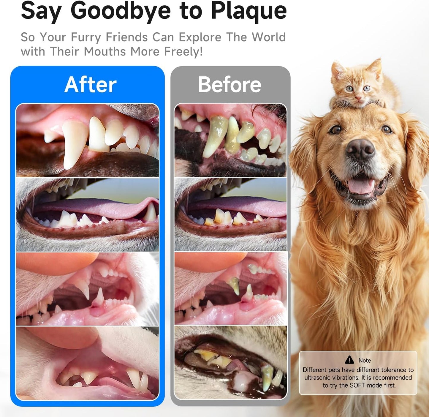 Electric Dog Plaque & Tartar Remover - Pet Teeth Cleaning Kit with LED Light, 5 Adjustable Modes, Safe and Low Noise – Easy Home Dental Care for Dogs and Cats - Pet Explorer