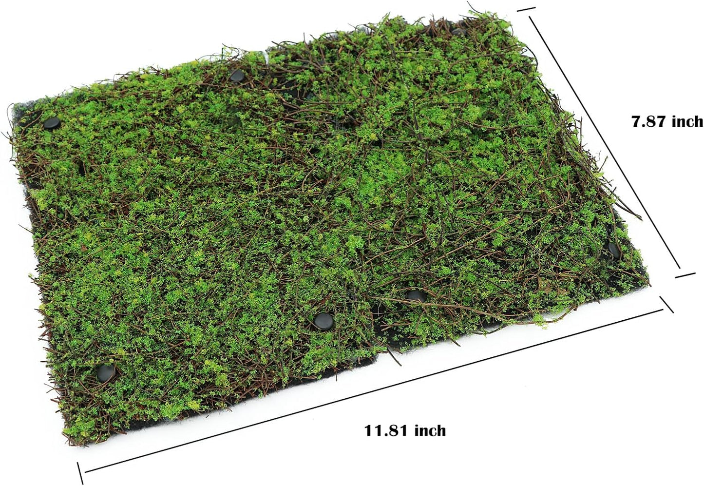 AQUA KT Terrarium Moss Background Backdrop Wall Artificial Reptile Amphibian Cage Decoration for Lizard Bearded Dragon Snake Frog Chameleon Climbing, Pack of 2 - Pet Explorer