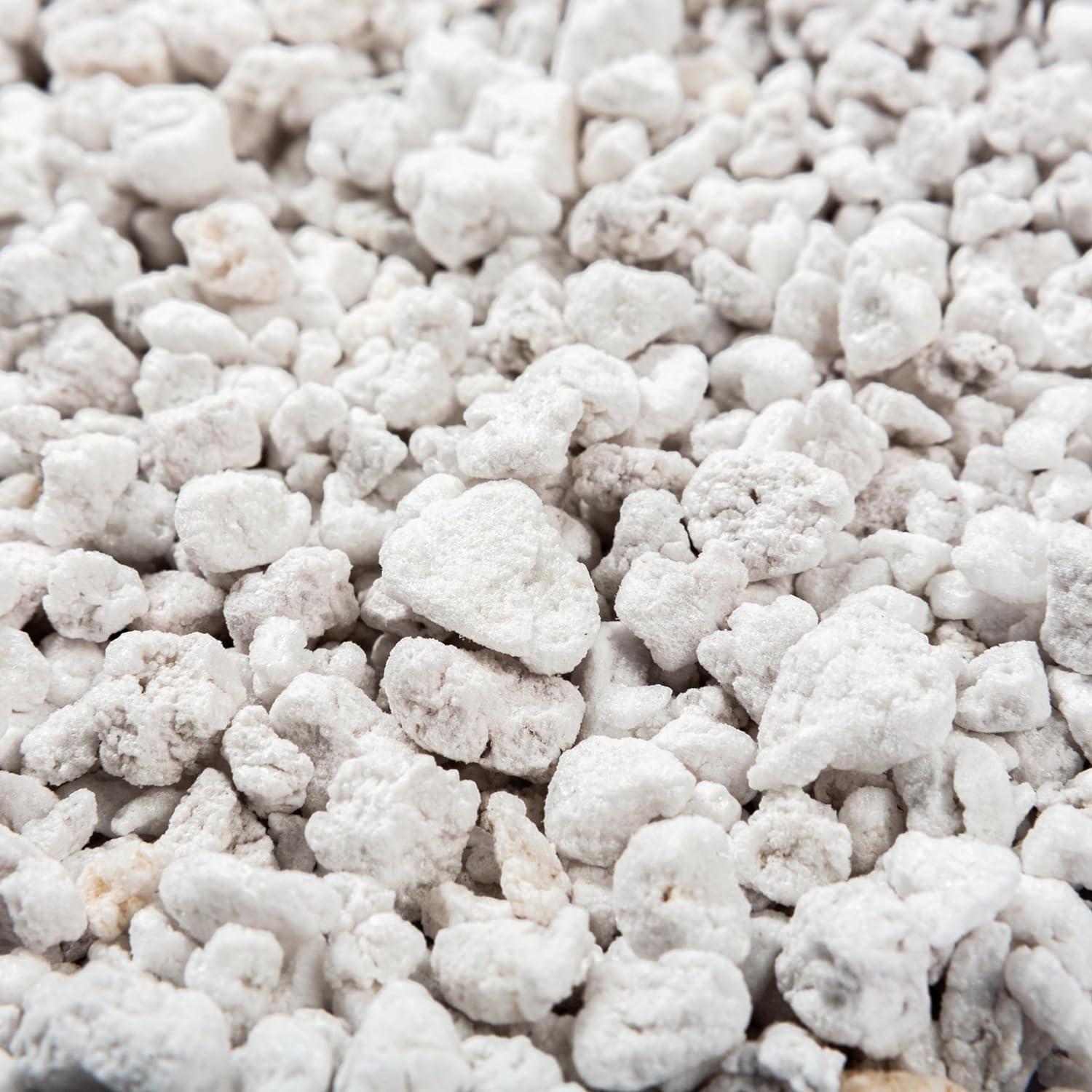 Perlite Bliss (16 Qts) - Organic Perlite for Plants - Coarse Perlite Bulk Soil Amendment - Chunky Perlite for Plants, Potting Soil, Garden Soil, & Coco Coir - Horticultural Perlite for Gardening - Pet Explorer