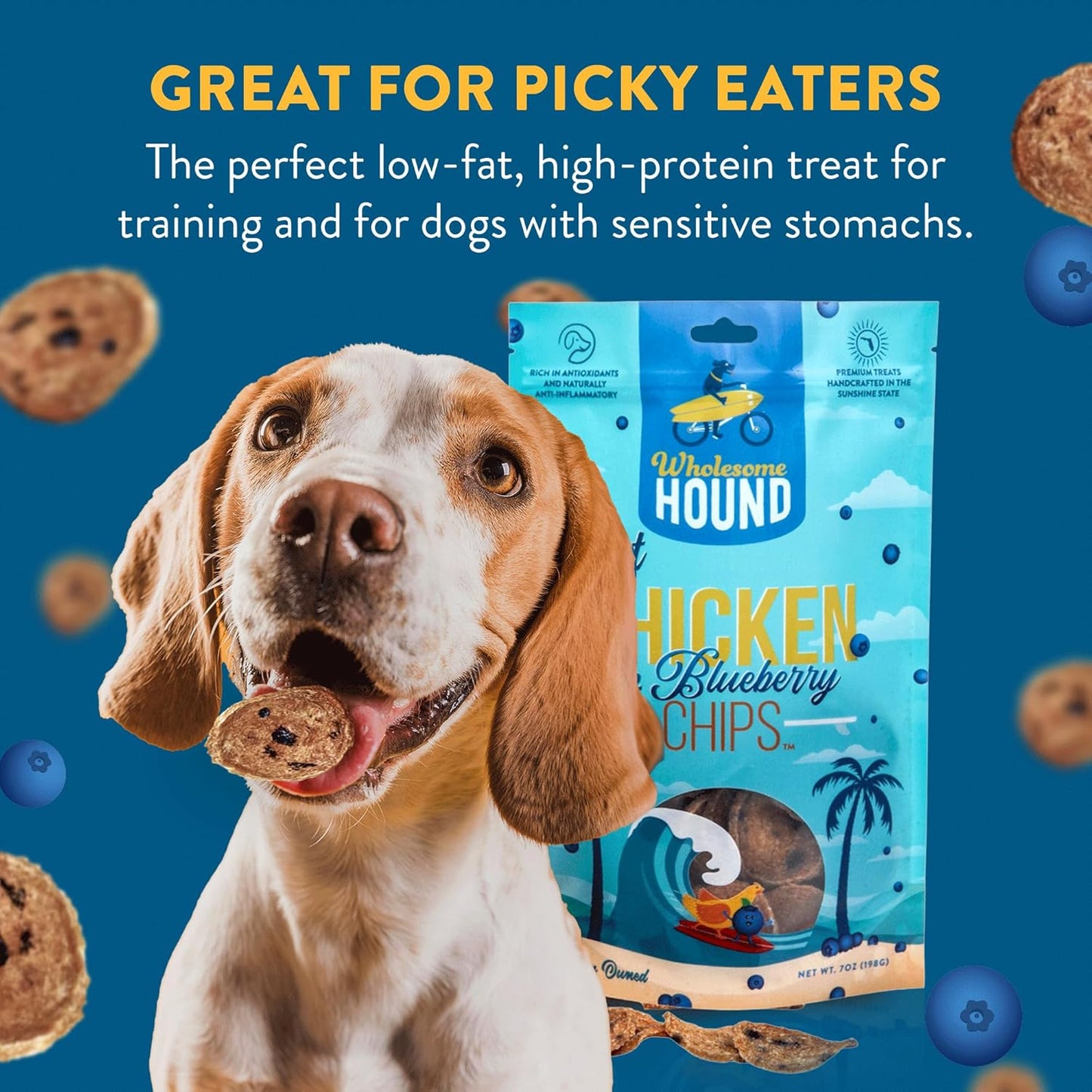 Chicken & Blueberry Chips – 2 Simple Ingredient Dog Treats, All Natural & Healthy Training Snacks for Small, Medium & Large Breeds, Puppies – High Protein, Made in USA, 7oz