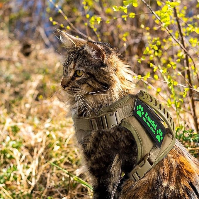 Tactical Cat Harness, Escape Proof Cat Harness with Customizable Patches, Adjustable Military Style Design, Optional Leash (Black)
