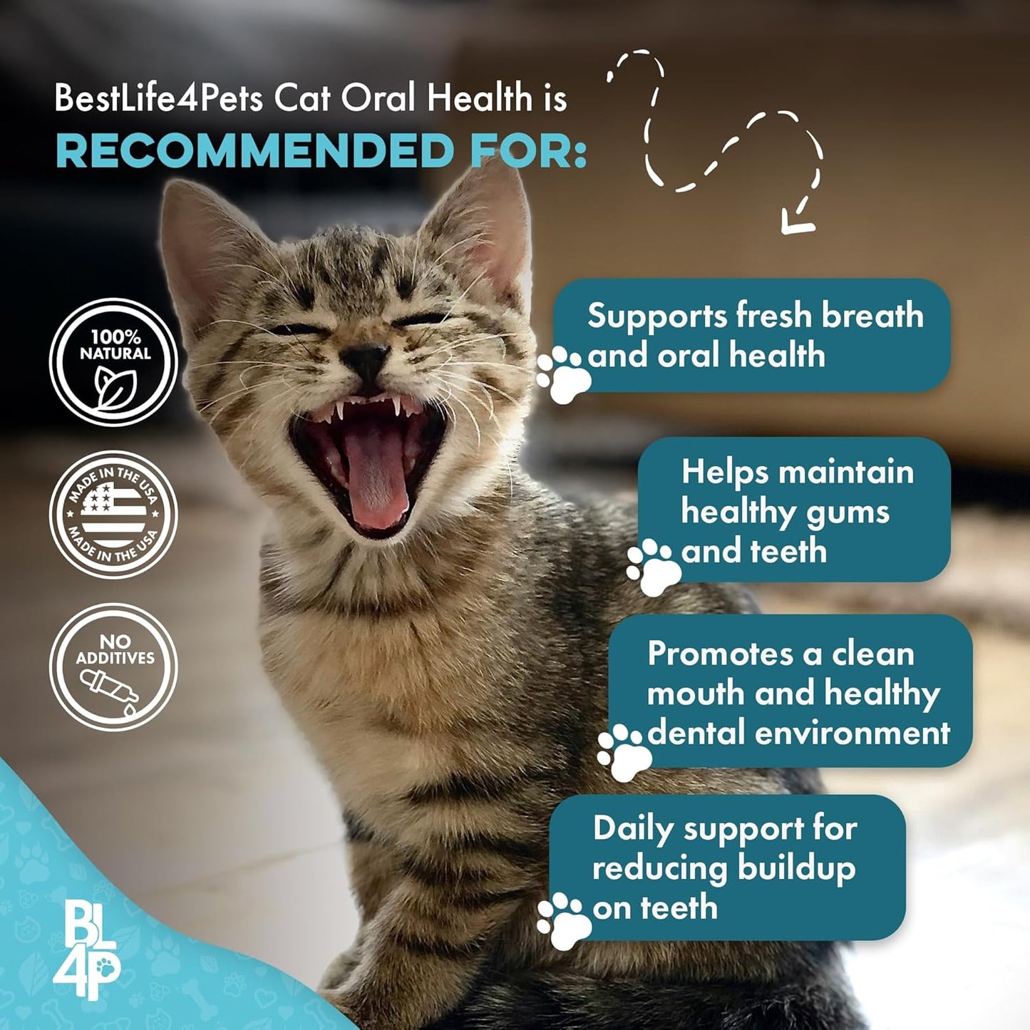 Cat Bad Breath & Oral Health Remedy, Natural Dental Care Cats Teeth, Mouth and Gums, Easy to Use Daily Supplement for Stomatitis, Gingivitis, Plaque & Tartar Control for Cats, 800 Small Pills - Pet Explorer