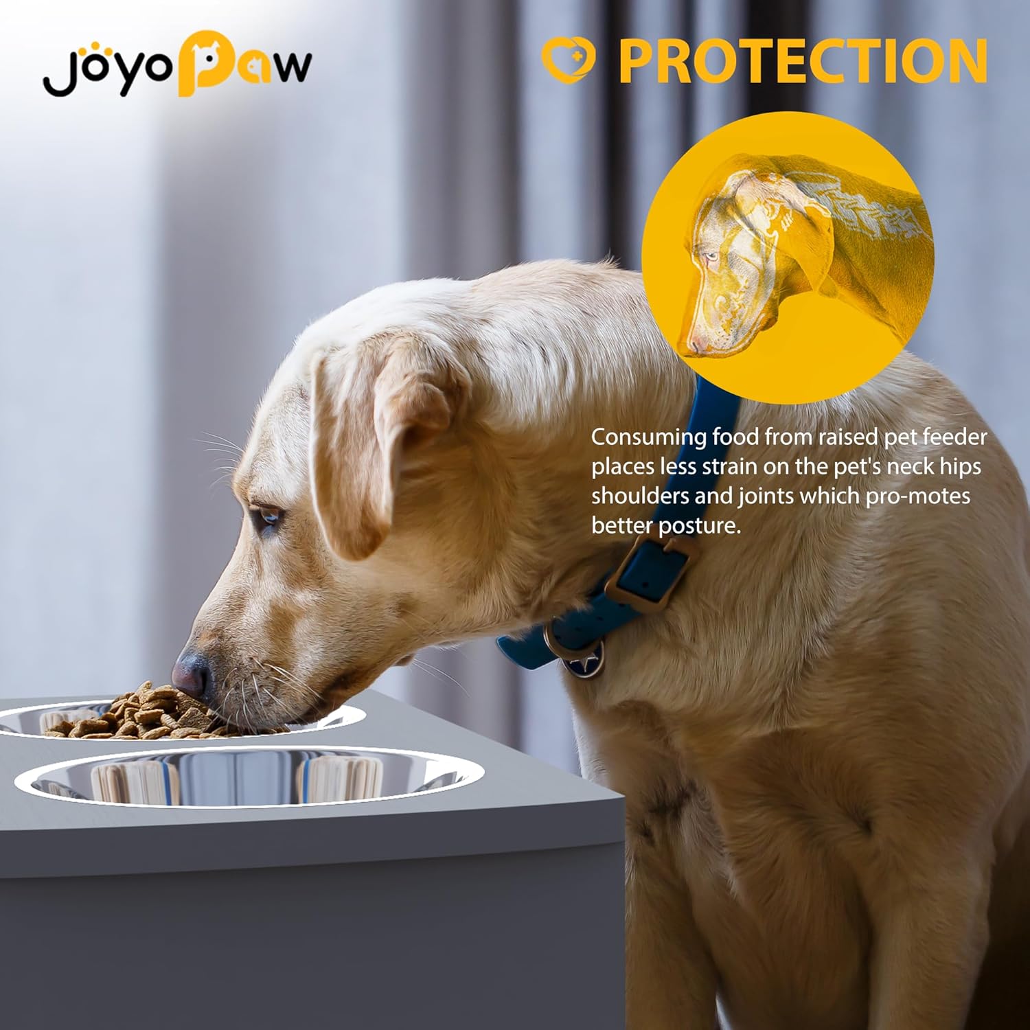 Elevated Dog Bowls, Bamboo Raised Dog Bowl for Large Dogs & Medium Dogs, with 2 Stainless Steel Bowls (10'' Tall–48 oz Bowl) - Pet Explorer