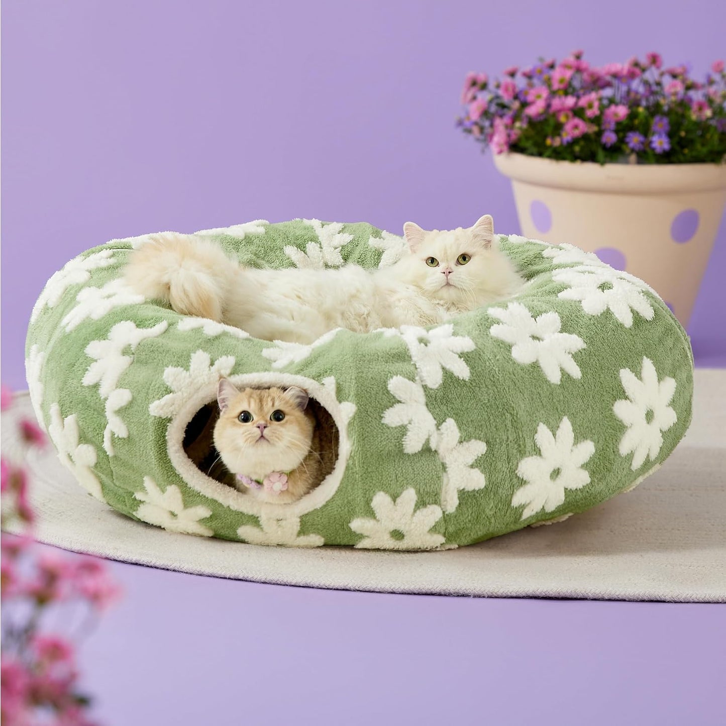 Lesure Cat Tunnel Bed for Indoor Cats - Cute Cat Donut Tunnel Toys for Small Large Cats with Washable Circle Cushion, Round Pet Peekaboo Cave Toy for Kitten/Puppy/Rabbit, Standard Green - Pet Explorer