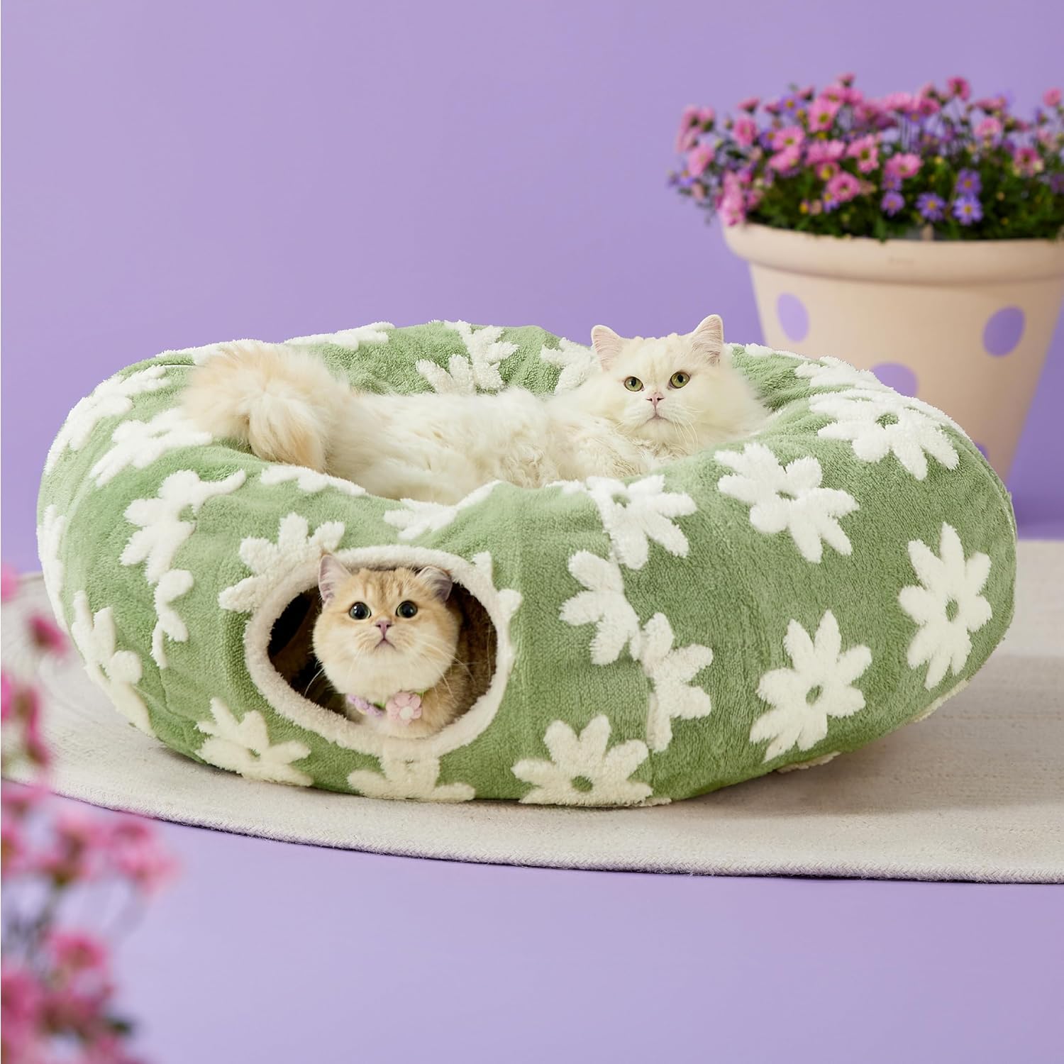 Lesure Cat Tunnel Bed for Indoor Cats - Cute Cat Donut Tunnel Toys for Small Large Cats with Washable Circle Cushion, Round Pet Peekaboo Cave Toy for Kitten/Puppy/Rabbit, Standard Green - Pet Explorer