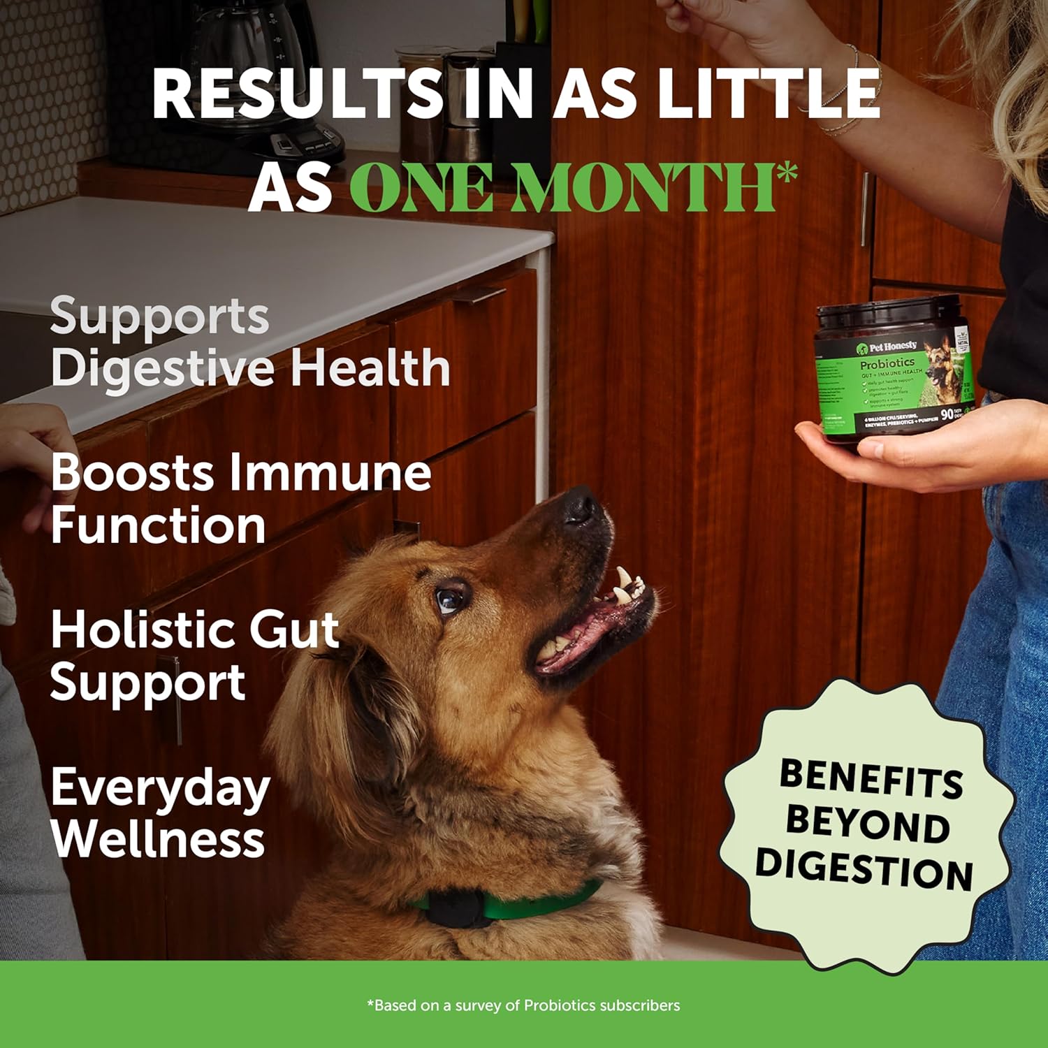 Probiotics for Dogs for Occasional Diarrhea & Bowel Support, Digestive Enzymes with Prebiotics for Gut Health for Dogs, Immunity Health & Itch Relief (Pumpkin 90 ct) - Pet Explorer