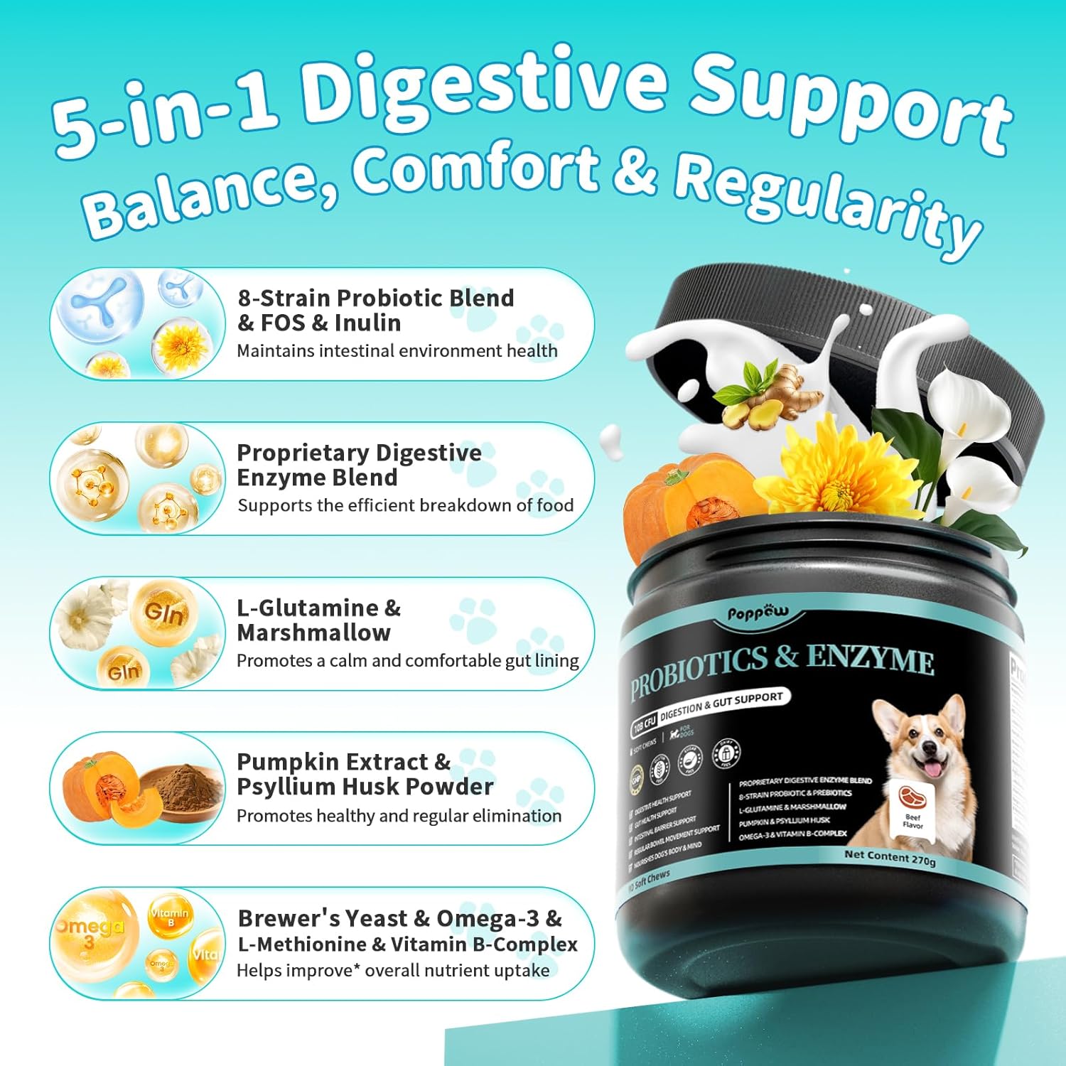 Probiotics for Dogs, Digestive Enzymes for Gut Health Support, Dog Fiber Supplement with Pumpkin for Diarrhea & Bowel Support, Upset Stomach & Gas Relief, Constipation - 90 Count Beef Flavor - Pet Explorer