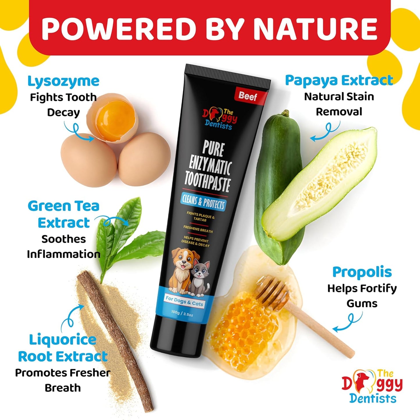 Vet Strength Pure Enzymatic Dog & Cat Toothpaste | 3.5oz Beef Flavor | Enzyme Pet Toothpaste for Tartar Removal, Bad Breath, Teeth Cleaning | Suitable for Puppies & Kittens - Pet Explorer