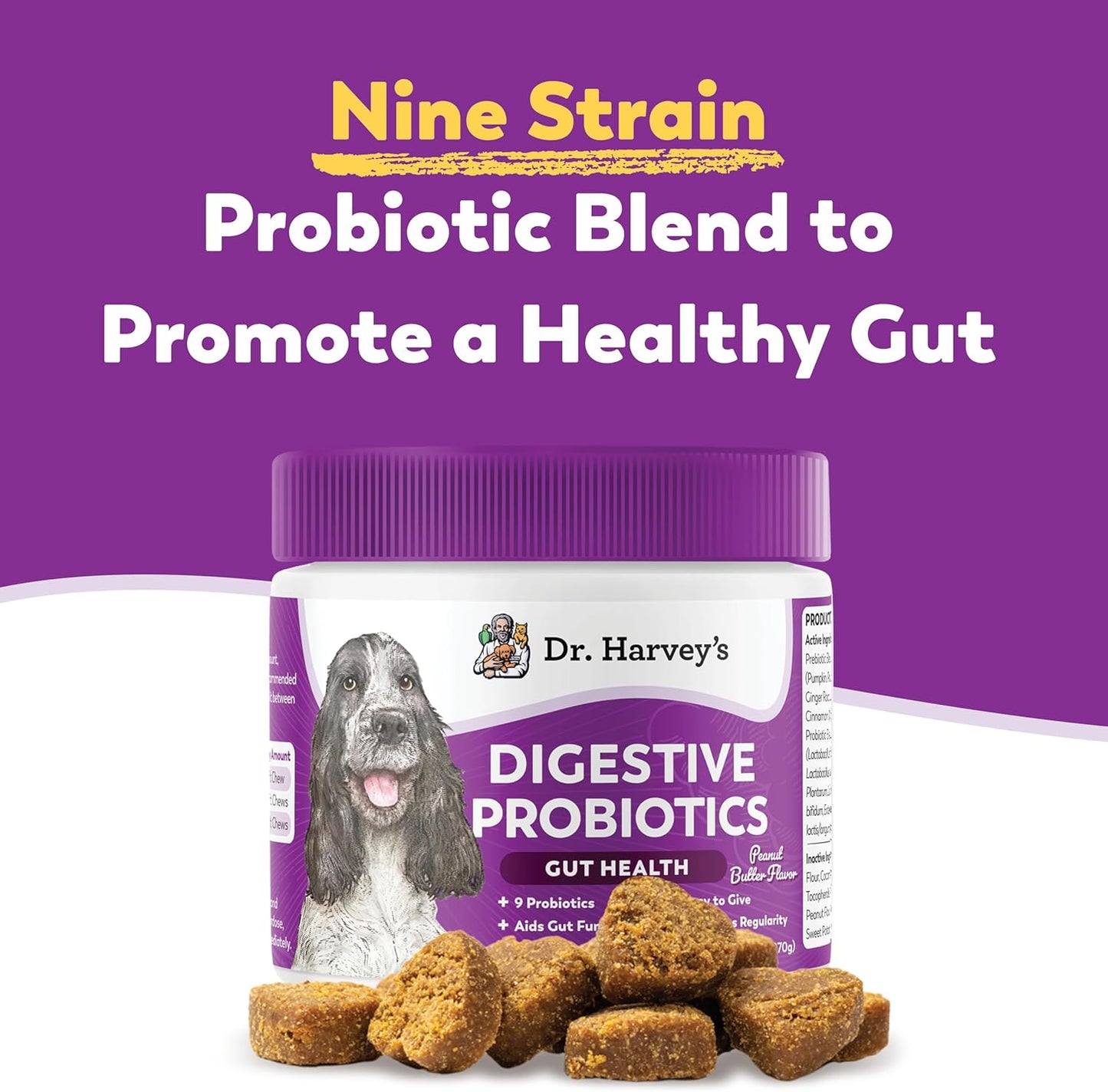 Dr. Harvey's Digestive Probiotic Soft Chews for Dogs, 7 Probiotics for Gut Health, Diarrhea and Bowel Support, Peanut Butter Flavor (90 Chews) - Pet Explorer
