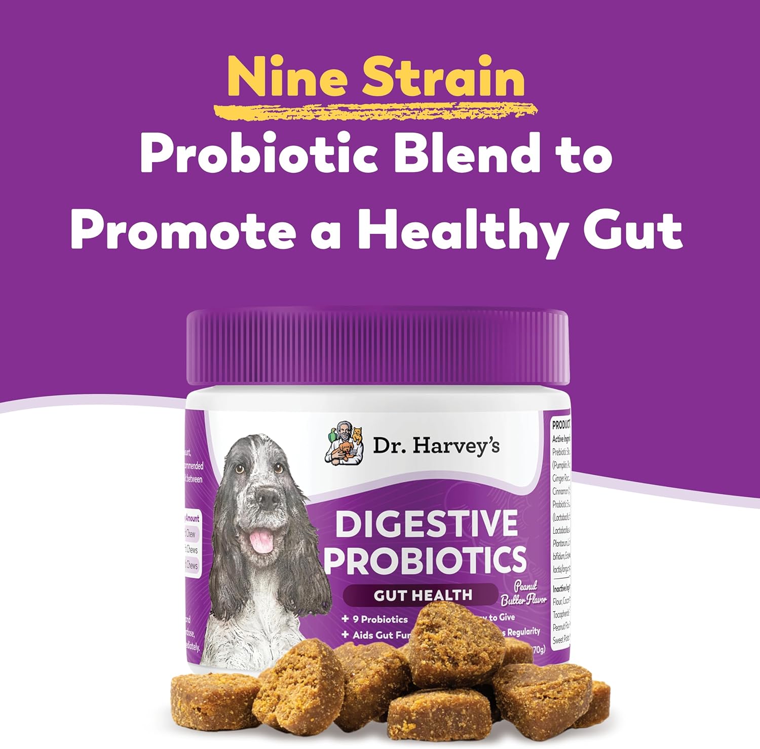 Dr. Harvey's Digestive Probiotic Soft Chews for Dogs, 7 Probiotics for Gut Health, Diarrhea and Bowel Support, Peanut Butter Flavor (90 Chews) - Pet Explorer