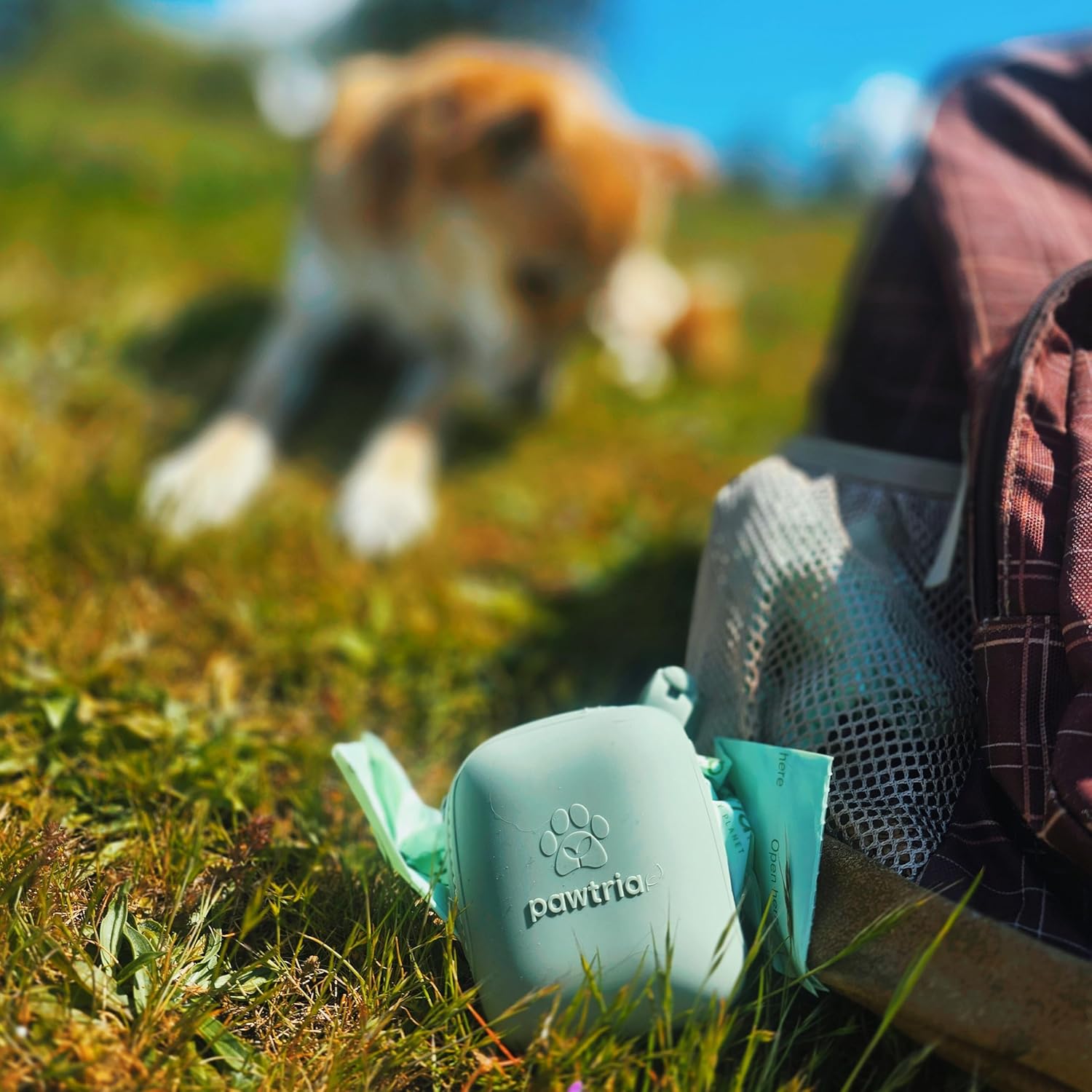 Pawtria Eco Duo Set: Home Compostable Dog Poop Bags (120) + Premium Silicone Dog Poop Bag Dispenser (3.25"H X 2.75"L), BPA-Free, Leak-Proof, Biodegradable, Zero Waste, Supports Rescue Dogs - Pet Explorer
