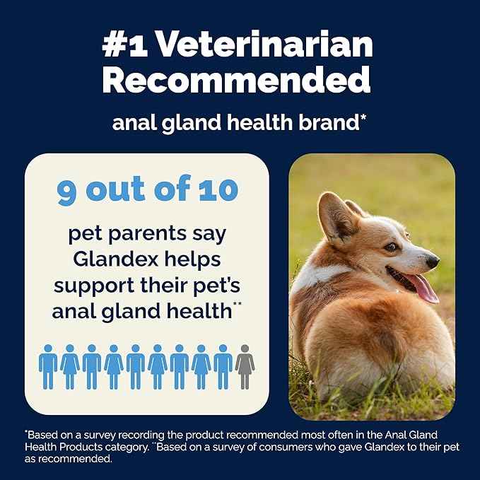 Vetnique Glandex Anal Gland Soft Chew Treats with Pumpkin for Dogs Digestive Enzymes, Probiotics Fiber Supplement for Dogs Boot The Scoot (Bacon Flavor Chews, 30 Count) (Pack of 2)