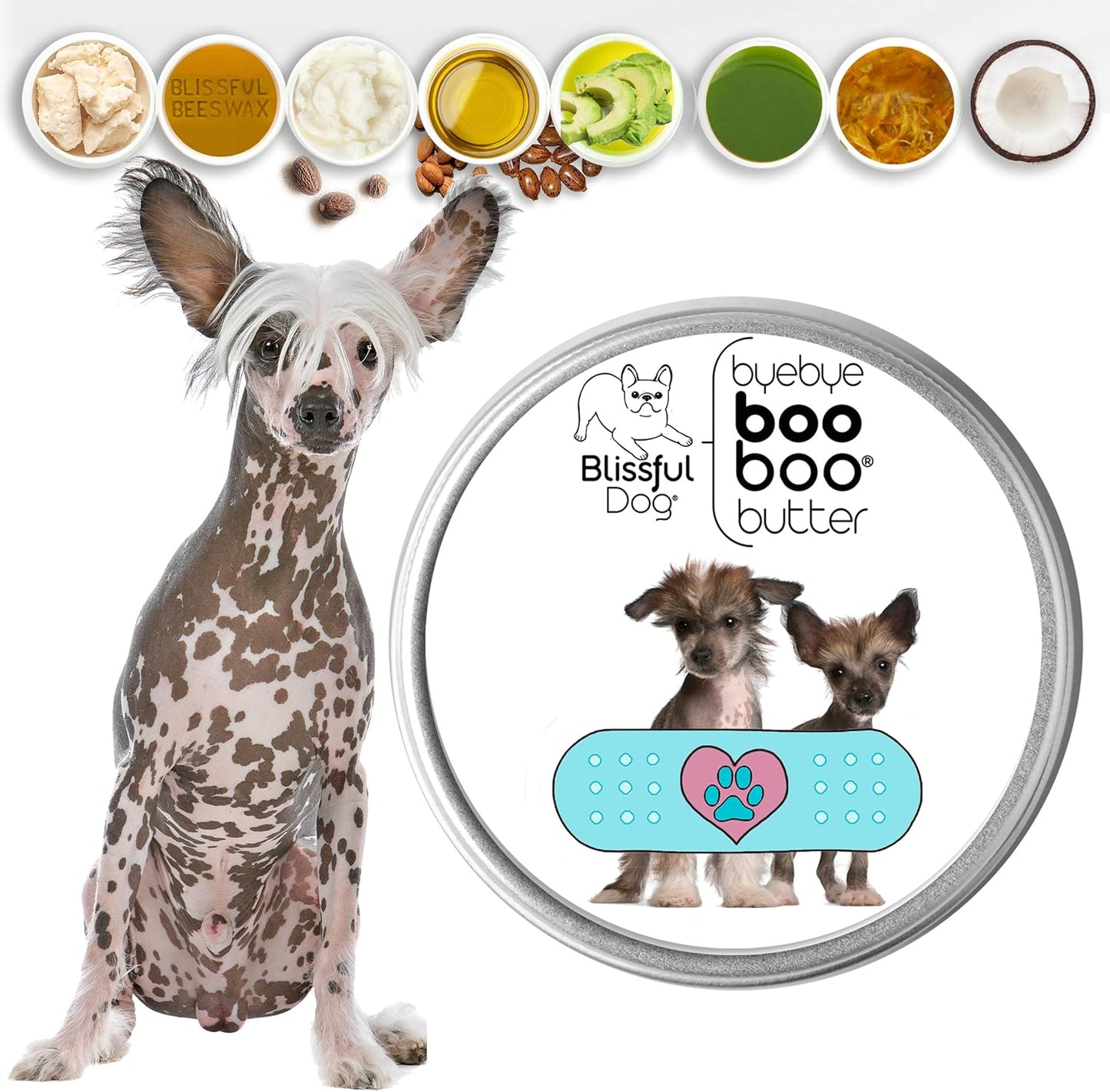 The Blissful Dog Chinese Crested Boo Butter, 2 oz - Pet Explorer