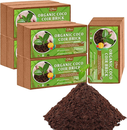 Riare 10pcs Organic Coco Coir Bricks Soil Blocks- 100% Natural Compressed Coco Peat Brick Coconut Fiber Substrate with Low EC& pH Balance, High Expansion Coco Coir Pith Coconut Husk for Garden - Pet Explorer