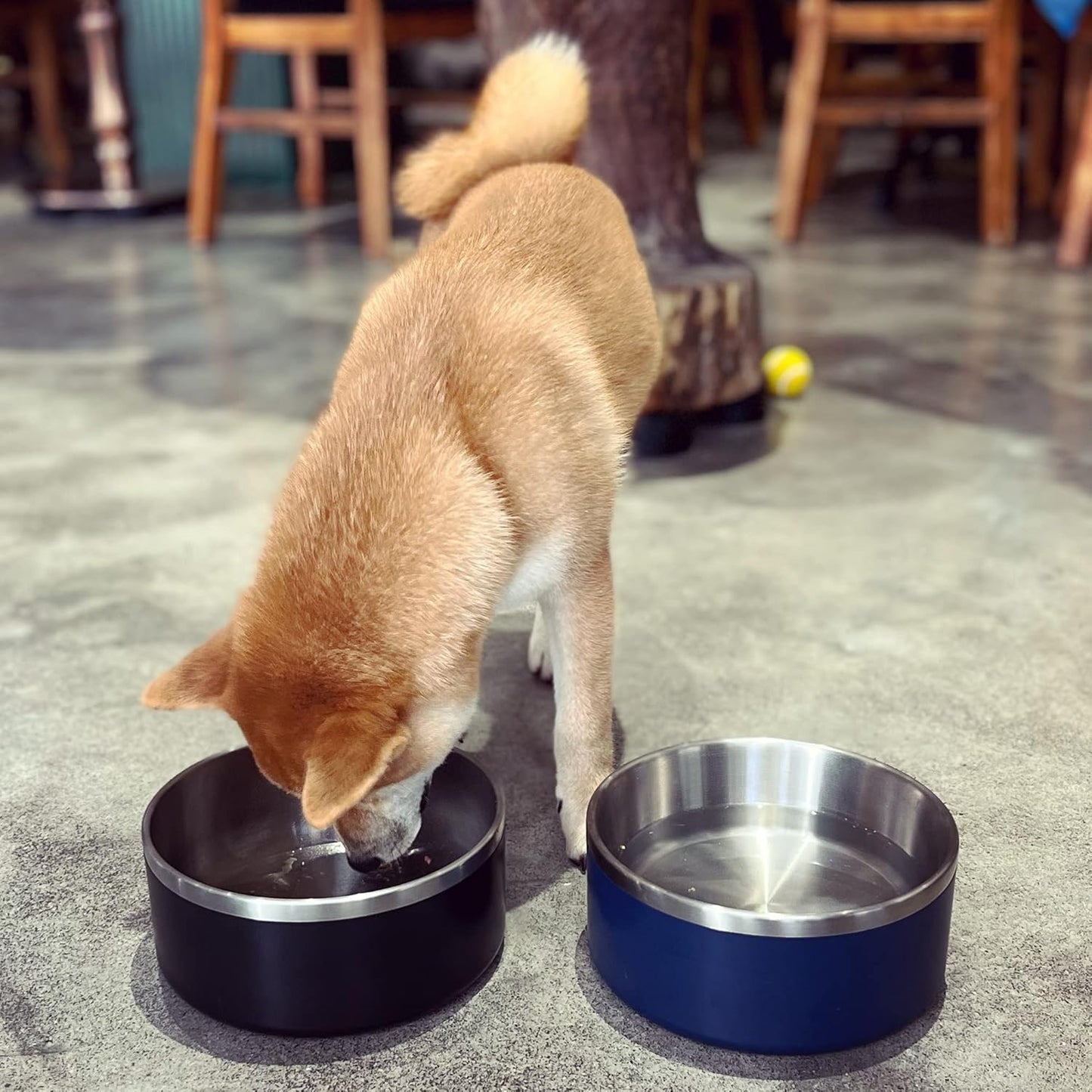 IKITCHEN Dog Bowl for Food and Water, 64 Oz Stainless Steel Pet Feeding Bowl, Durable Non-Skid Double Wall Insulated Heavy Duty with Rubber Bottom for Medium Large Sized Dogs (64 Ounces/8 Cup, Blue) - Pet Explorer