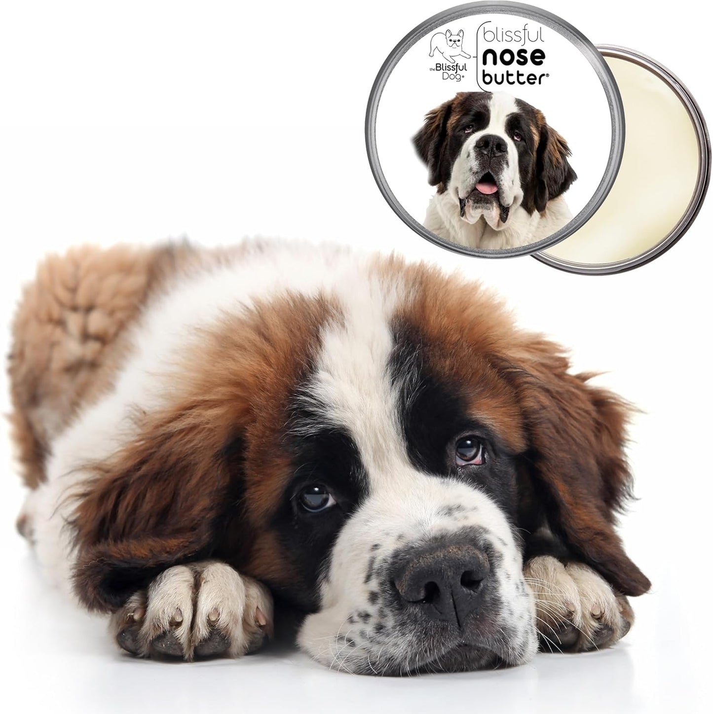 The Blissful Dog St. Bernard Nose Butter, Versatile Dog Nose Balm for Dry Nose, Handcrafted Nose Moisturizer, Easy-to-Apply Dog Essentials, Unscented, 1 oz. - Pet Explorer