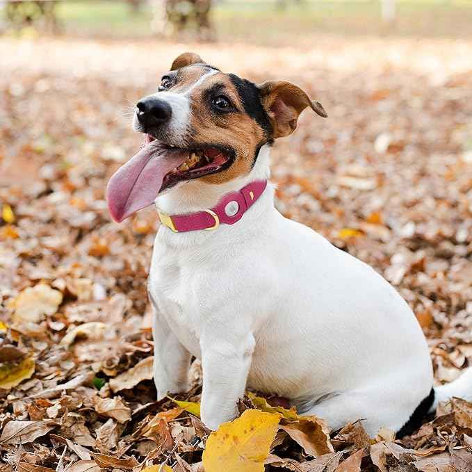 Leather Airtag Dog Collar - Soft Tracking Dog Collar with Apple AirTag Holder and Metal Buckle - Safety GPS Pet Collars for Small Medium Large Dogs Puppy Pink Red (Pink, L, 17"-21" Neck Fit)