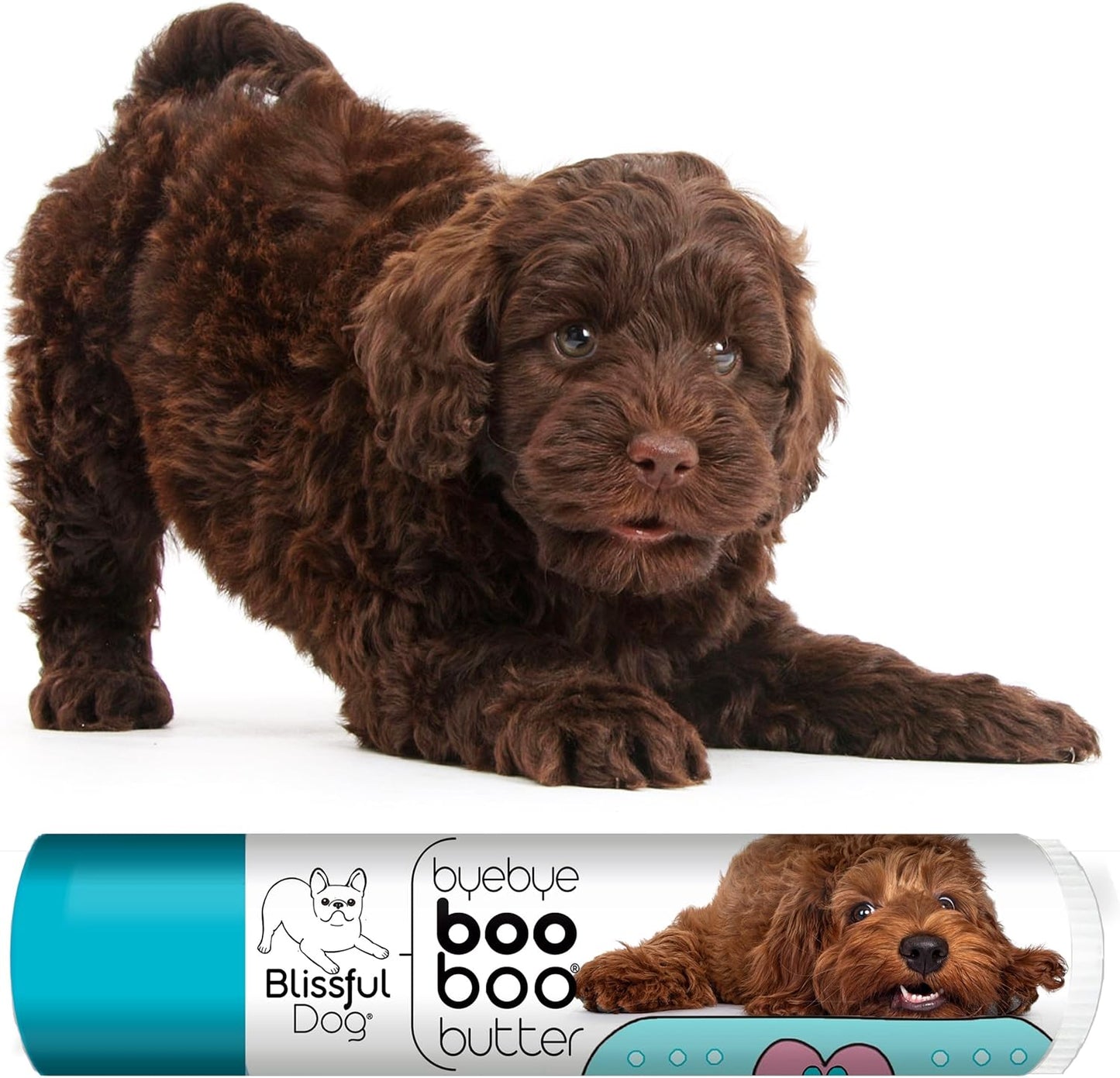 The Blissful Dog Labradoodle Boo Butter, 0.15 oz - Pet Explorer