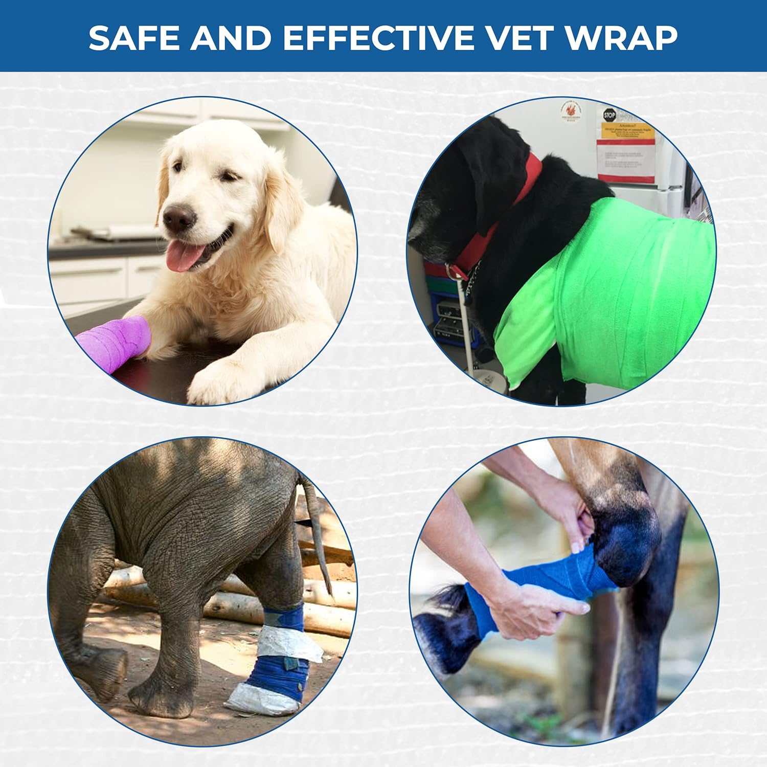 Self Adhesive Bandage Wrap - Pack of 08 Assorted Colors, Non-Woven, Breathable & Water-Resistant Vet Wrap for First Aid, Sports Injury, Body Sprains, & Pets (3 Inch Multicolor - 8 Pack) - Pet Explorer