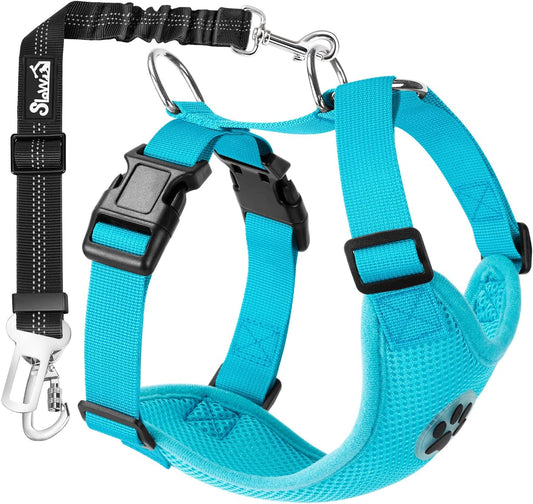 SlowTon Dog Seat Belt Harness for Car, Dog Car Harness Adjustable Mesh Breathable & Dog Seatbelt Safety Tether with Elastic Bungee for Small Medium Large Pets(Light Blue, Double Clip, M) - Pet Explorer