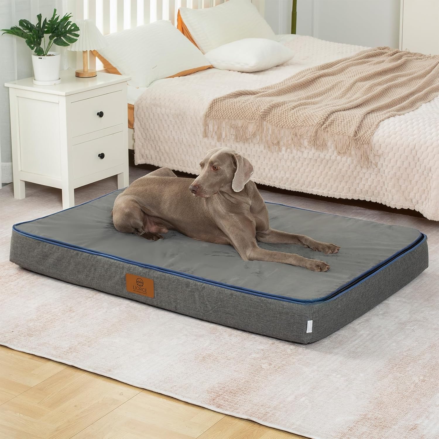 Orthopedic Memory Foam Giant Dog Bed - 6" Thick Beds for Large Sized Dog - Waterproof Removable Washable Cover & Wrap-Around Zipper - Ultimate Comfort & Easy Maintenance, Dark Grey - Pet Explorer