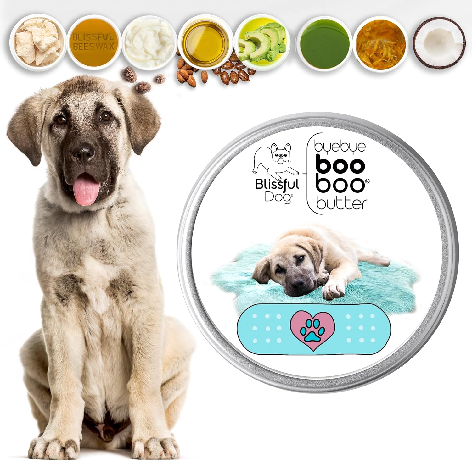 The Blissful Dog Anatolian Shepherd Boo Boo Butter, 4 Ounce - Pet Explorer