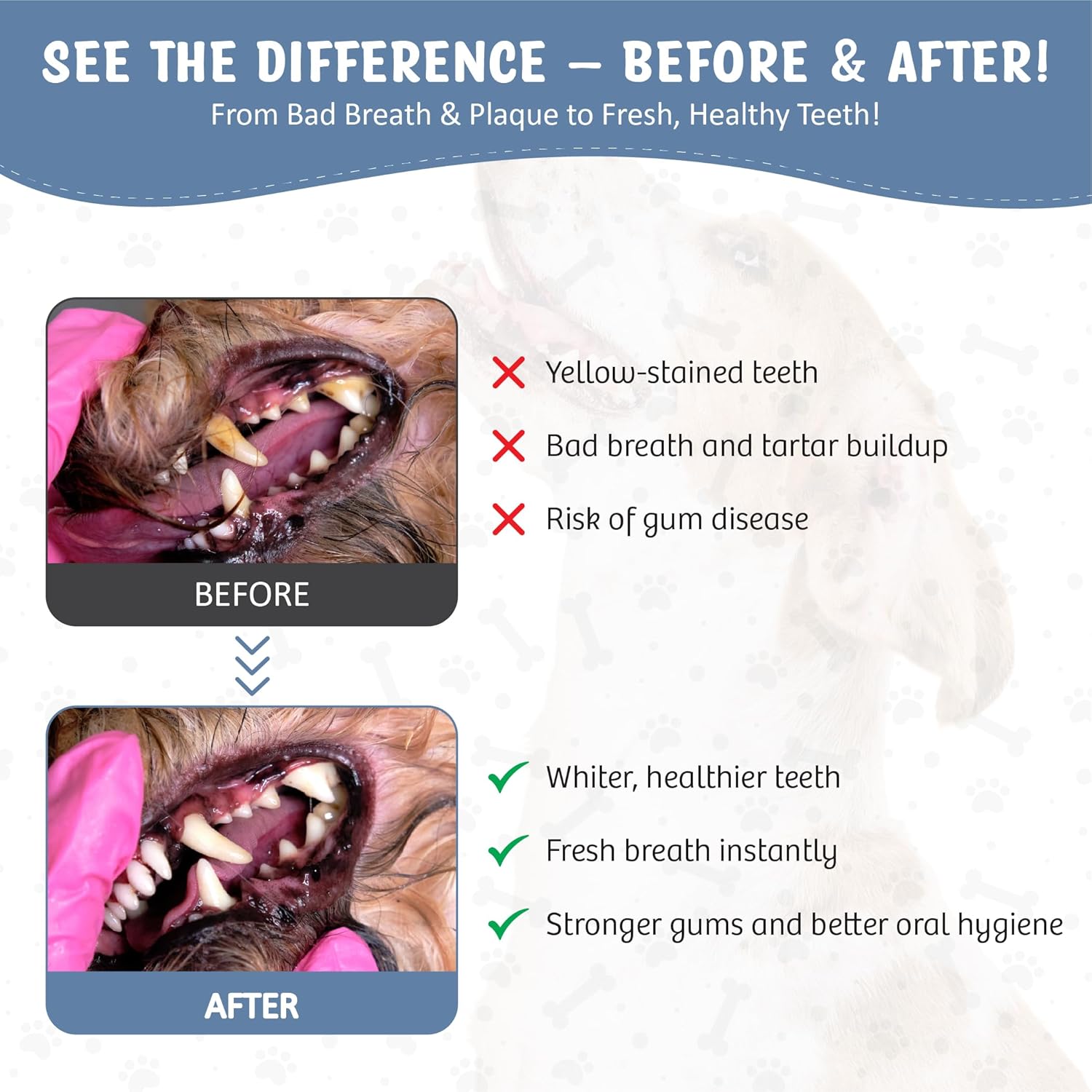 Dog Dental Spray Removes Tartar, Plaque and Freshens Breath Instantly. The Most Advanced Dental Spray for Healthy Teeth, Gums and Oral Health Care for Your Dog, Cat or Pet - 1-8 oz. Bottle - Pet Explorer