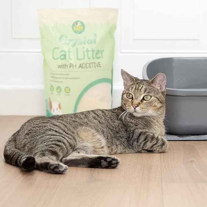Kitty City pH Detecting Crystal Cat Litter, Silica Gel Crystals for Odor Control, Low Dust & Unscented, Health Monitoring Cat Litter, 6 lb