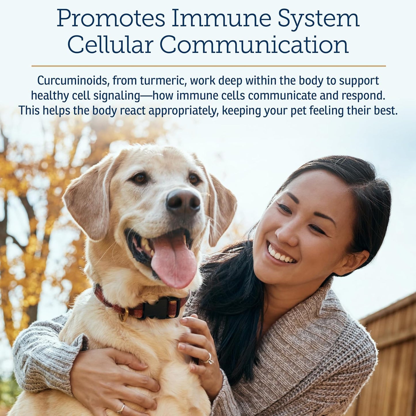 Rx Vitamins CurcuWIN - Curcumin for Dogs & Cats - Vitamins and Supplements, Allergy Relief - Provides Immune Support & Aids Digestive Support - Joint Supplement - 90ct - Pet Explorer