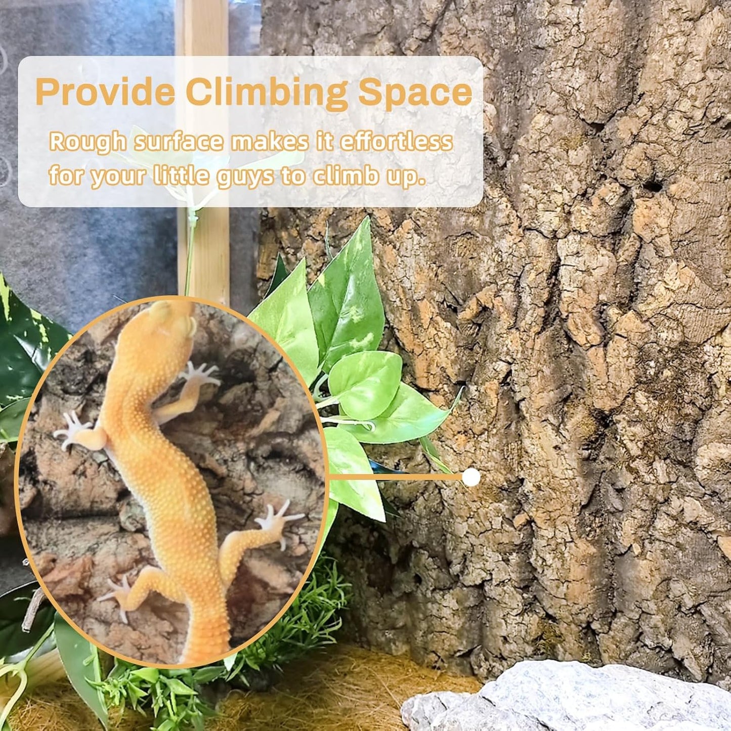 Tfwadmx Terrarium Cork Bark Background, 11.8"x15.75" Thickened Reptile Tank Tree Backdrop Wall Decor Habitat Climbing Mat Decoration for Lizard, Turtle, Gecko, Bearded Dragon, Frog, Chameleon - Pet Explorer